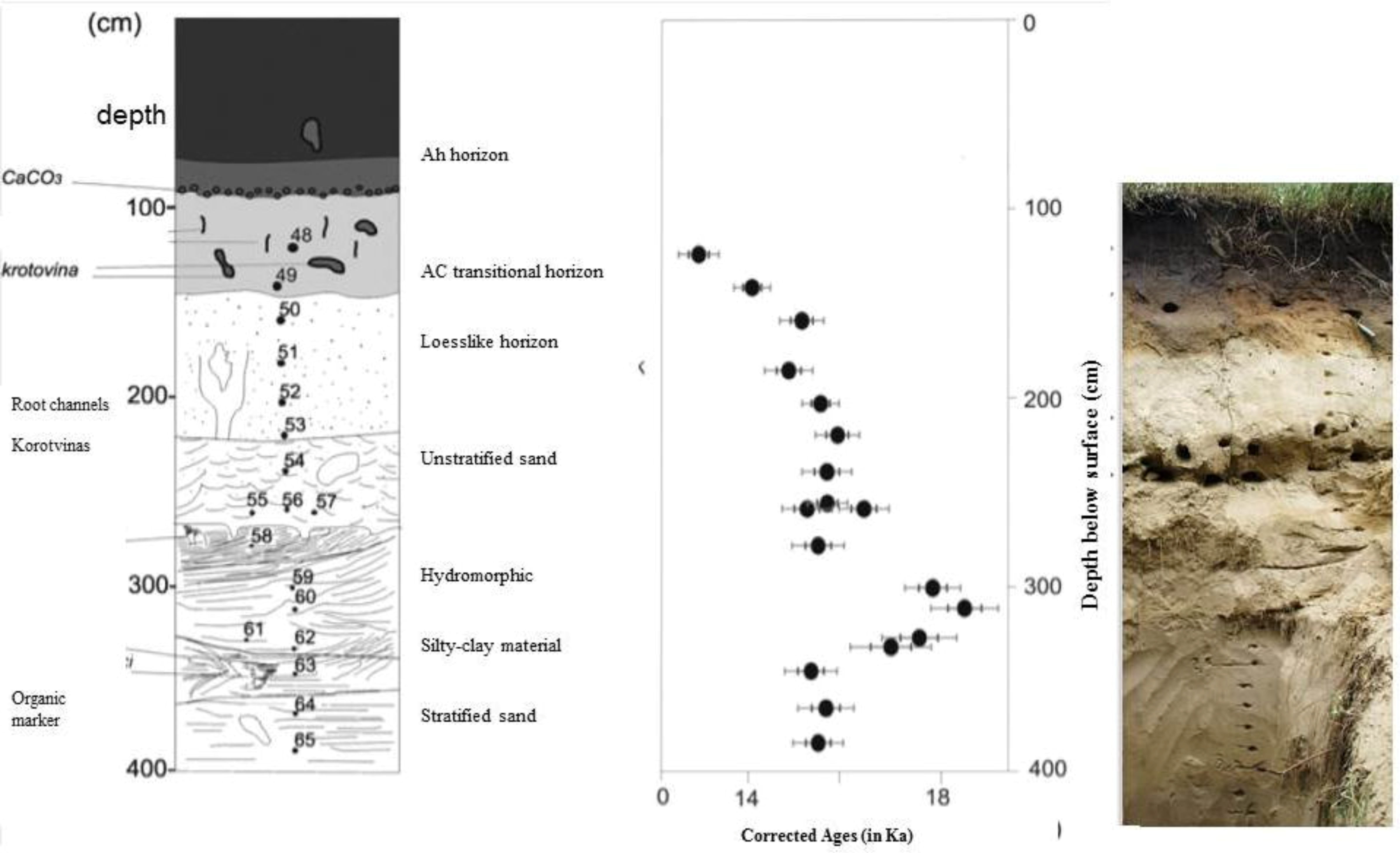 Quaternary 01 00014 g009 Quaternary 01 00014 g009