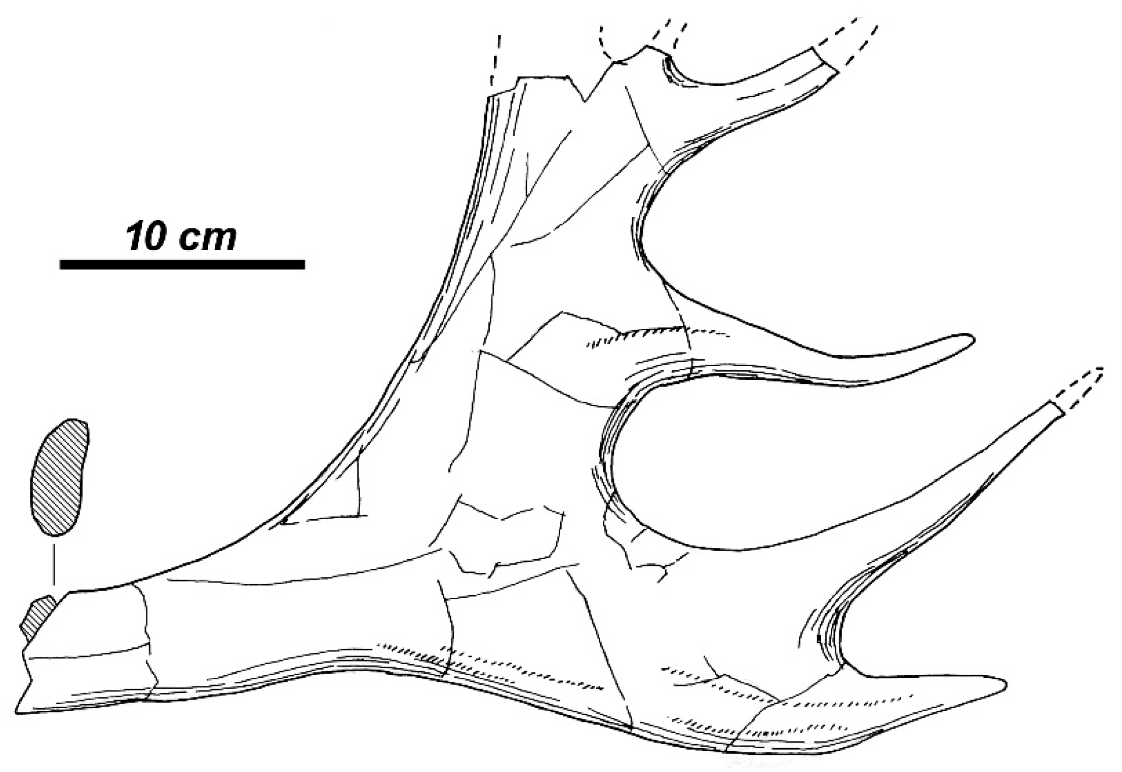 Quaternary 01 00017 g002 Quaternary 01 00017 g002