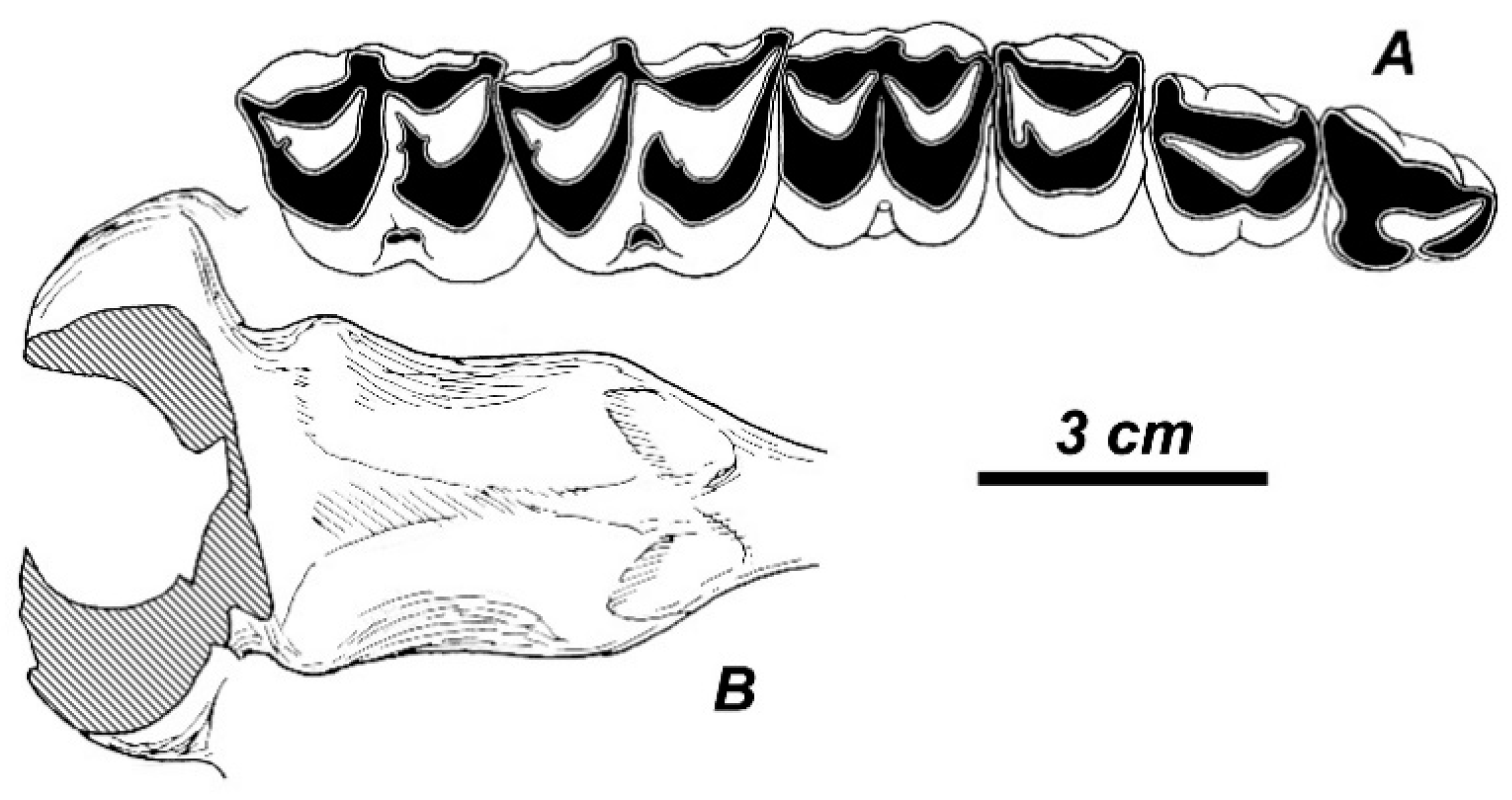 Quaternary 01 00017 g004 Quaternary 01 00017 g004