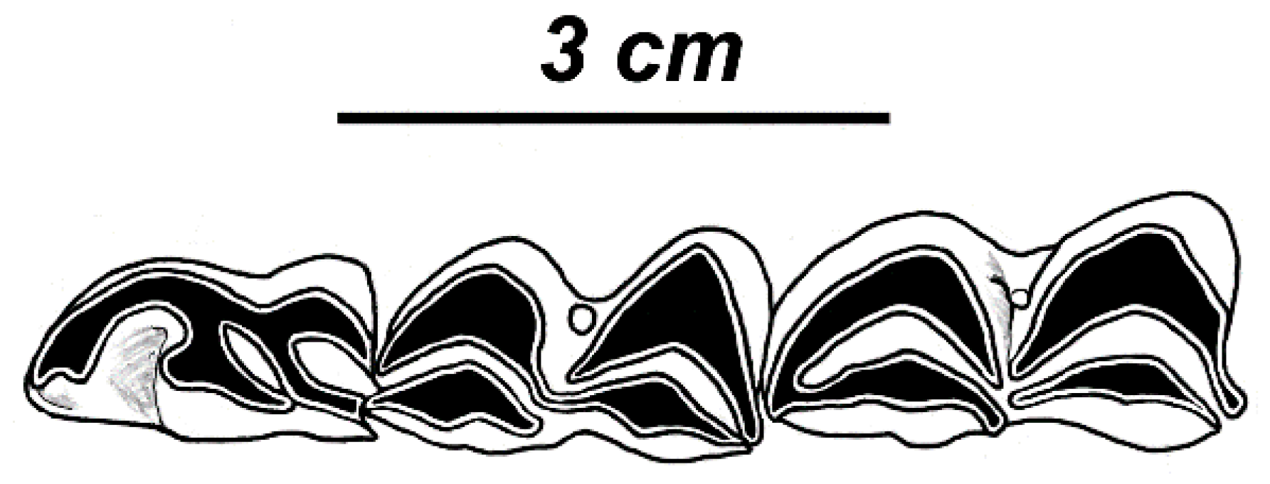 Quaternary 01 00017 g010 Quaternary 01 00017 g010