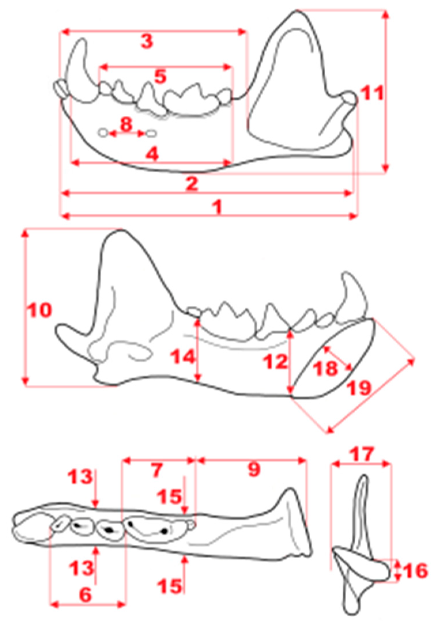 Quaternary 01 00019 g004 550