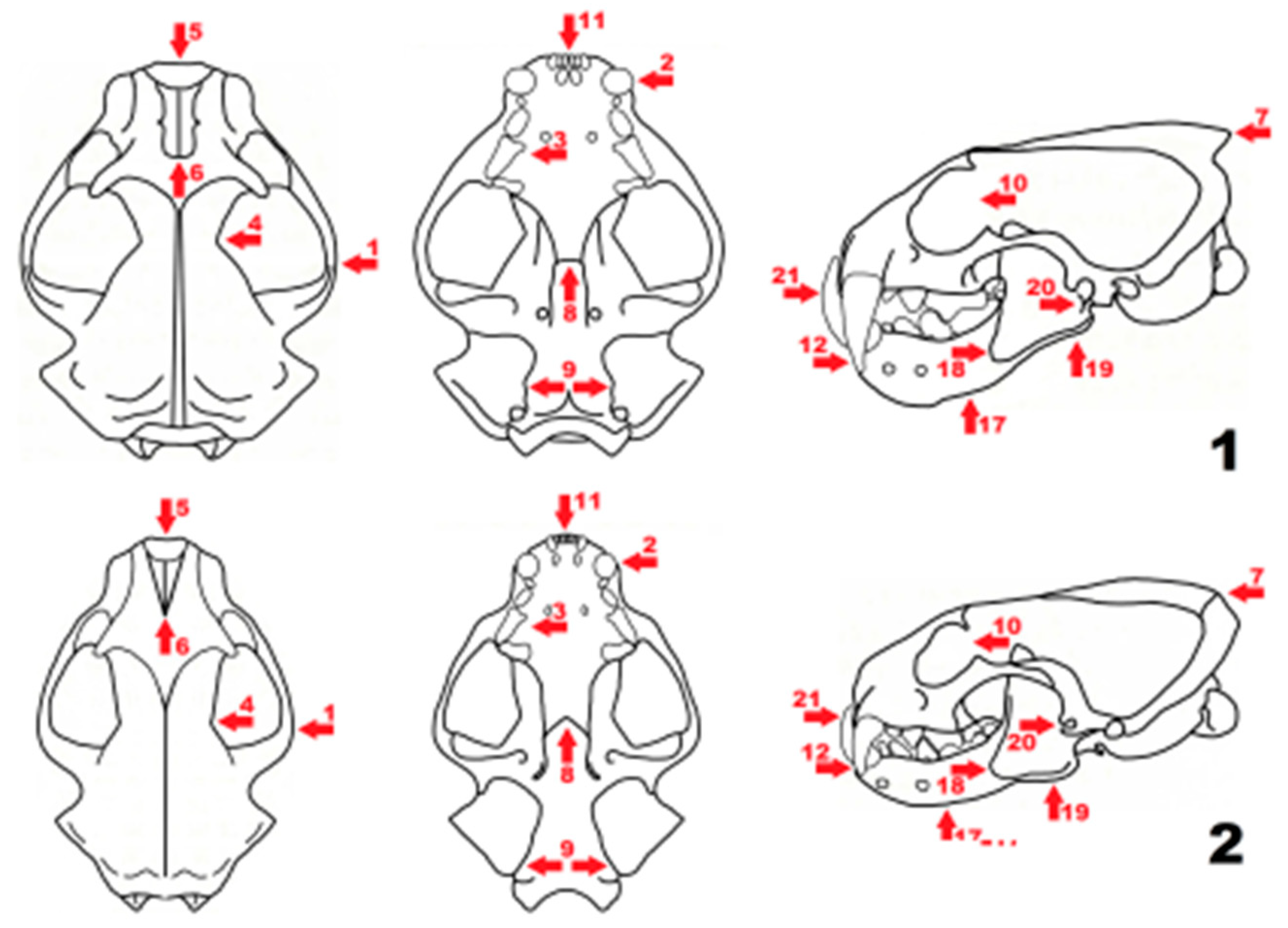 Quaternary Free Full Text New Insights Into The Lgm And