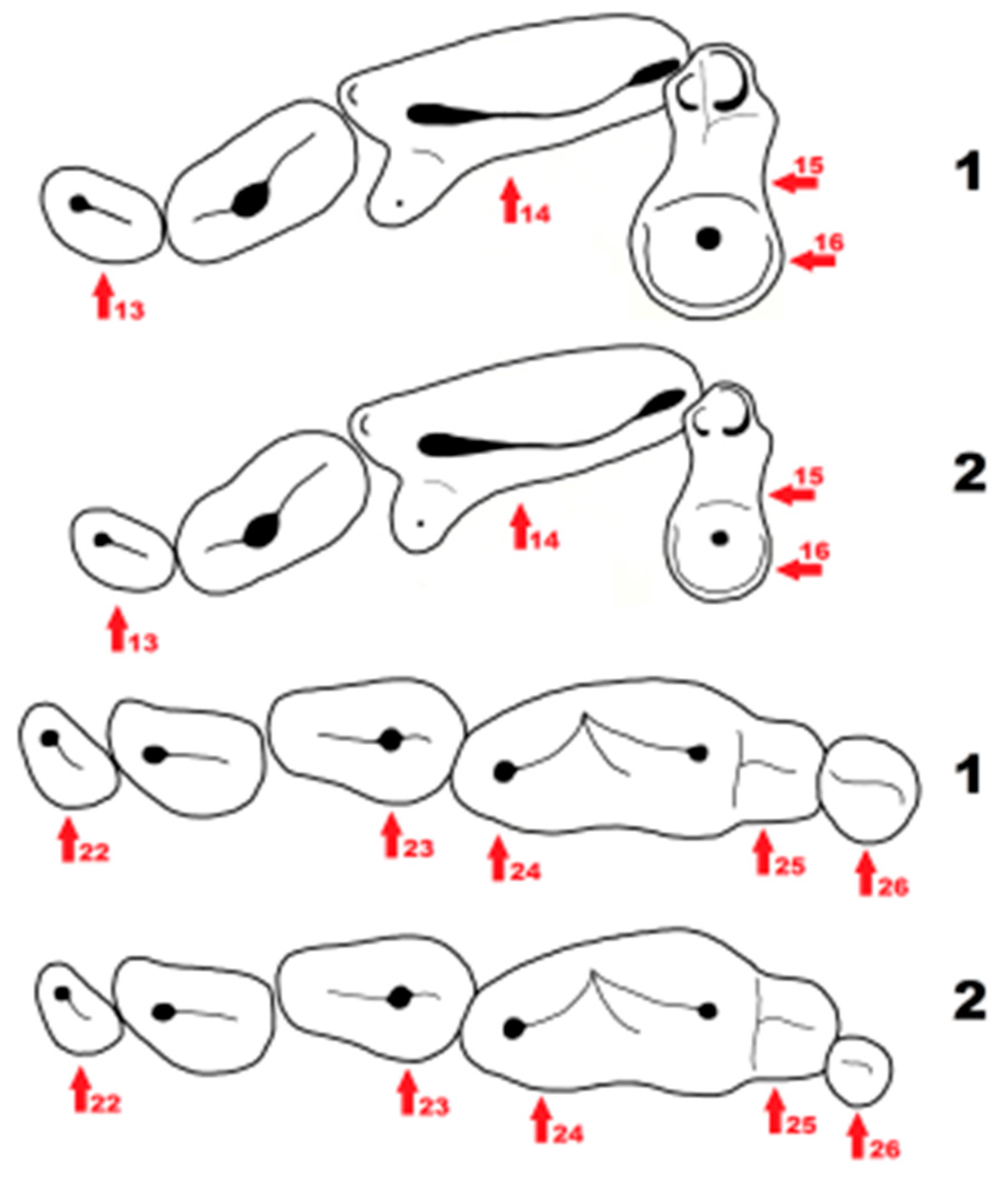 Quaternary 01 00019 g007 550