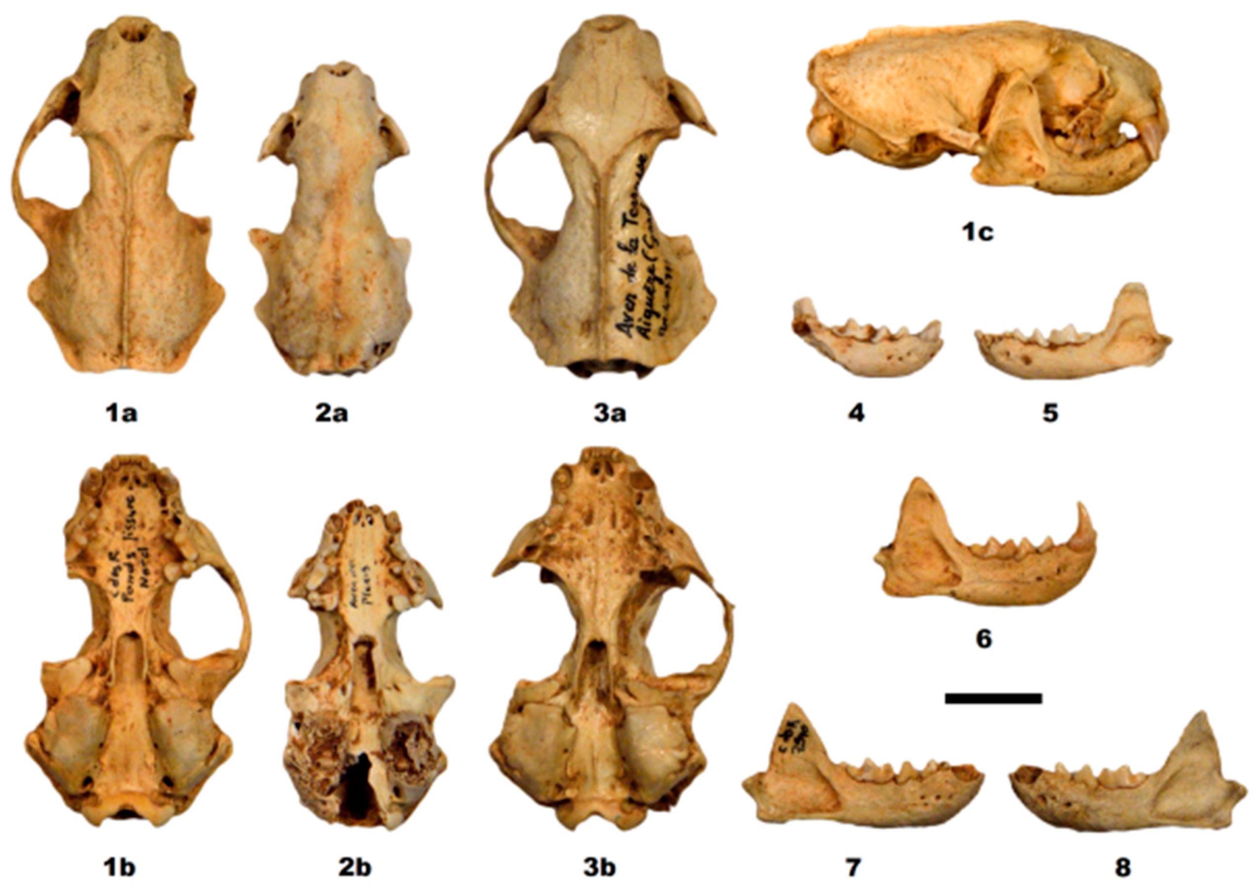 Quaternary Free Full Text New Insights Into The Lgm And