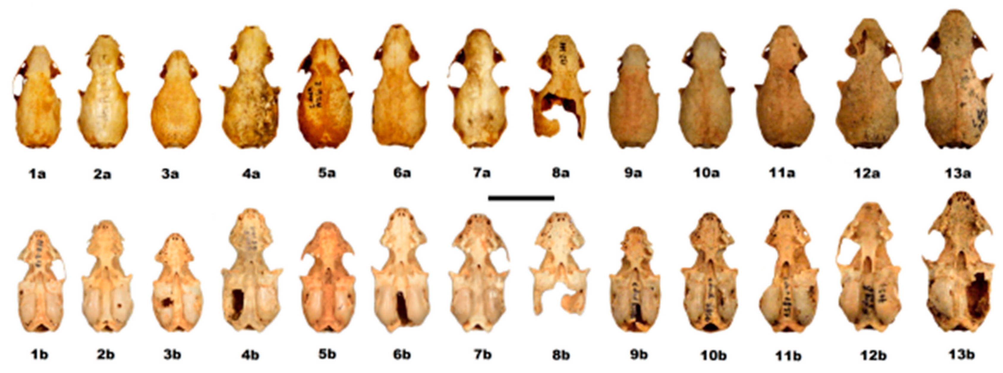 Quaternary 01 00019 g013 550