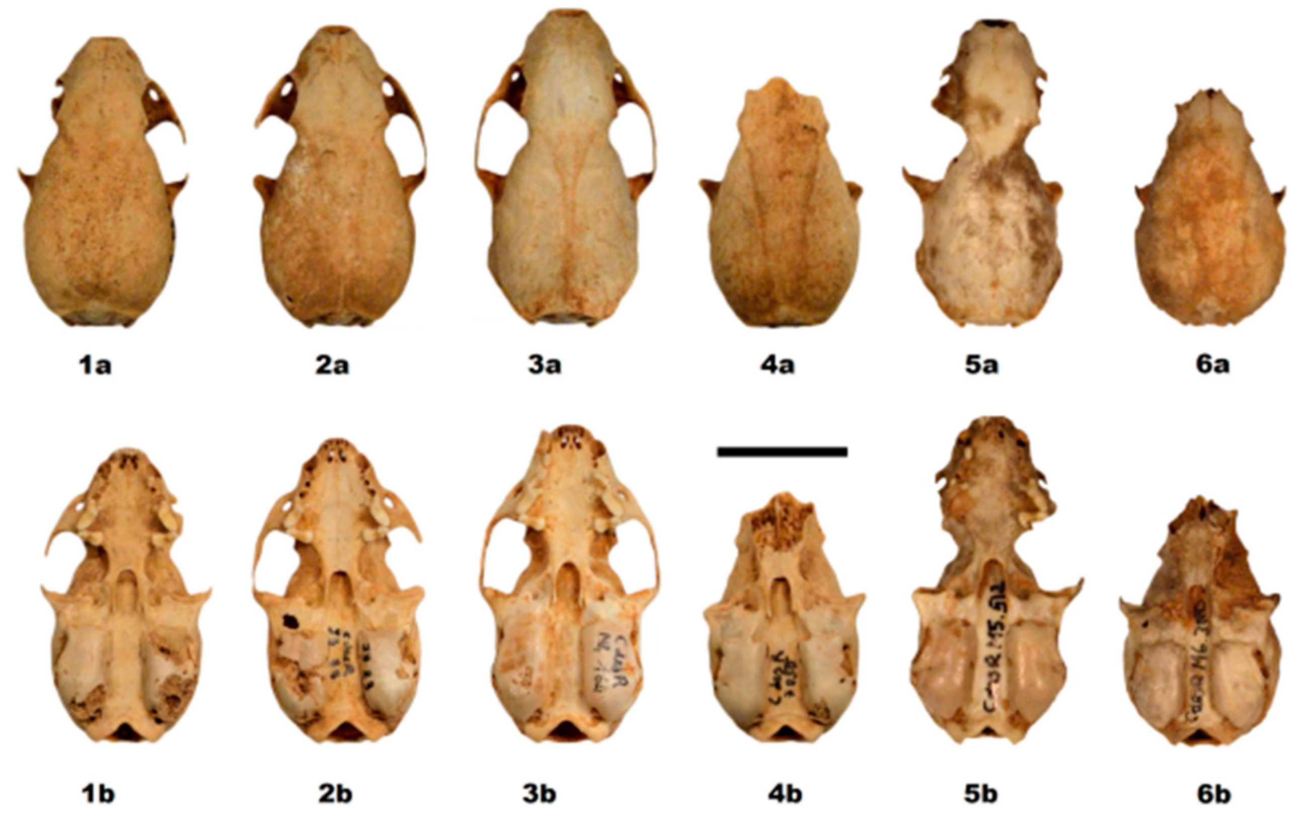 Quaternary 01 00019 g014 550