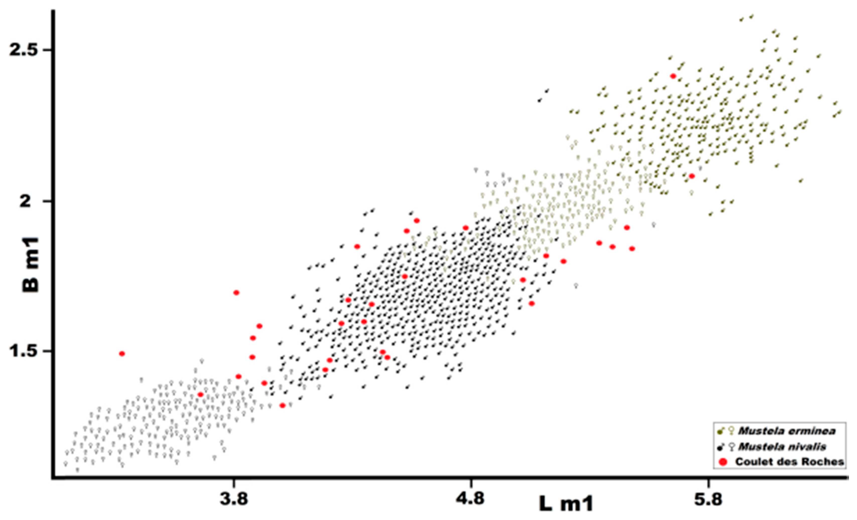 Quaternary 01 00019 g016 550