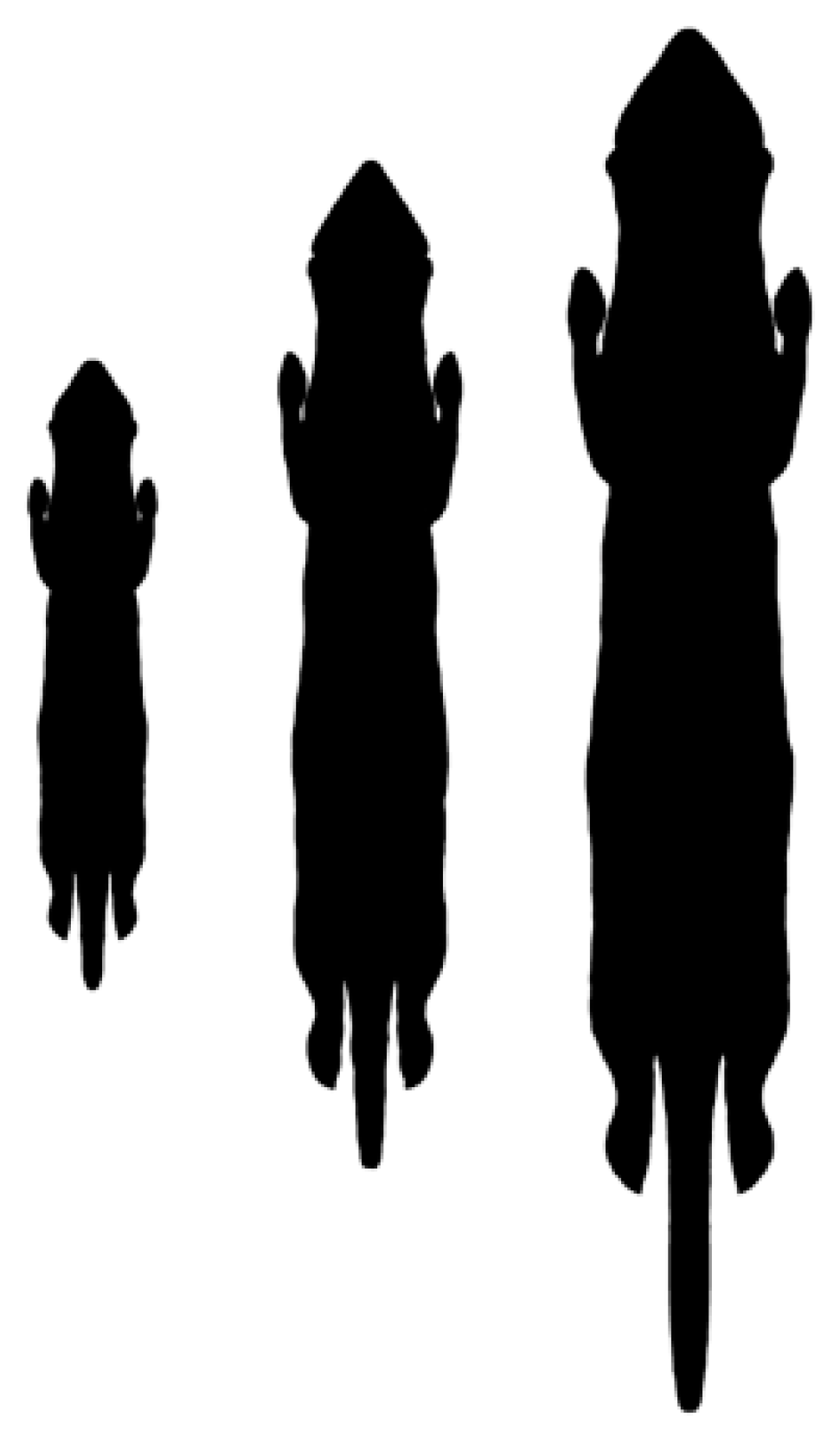 Quaternary 01 00019 g017 550