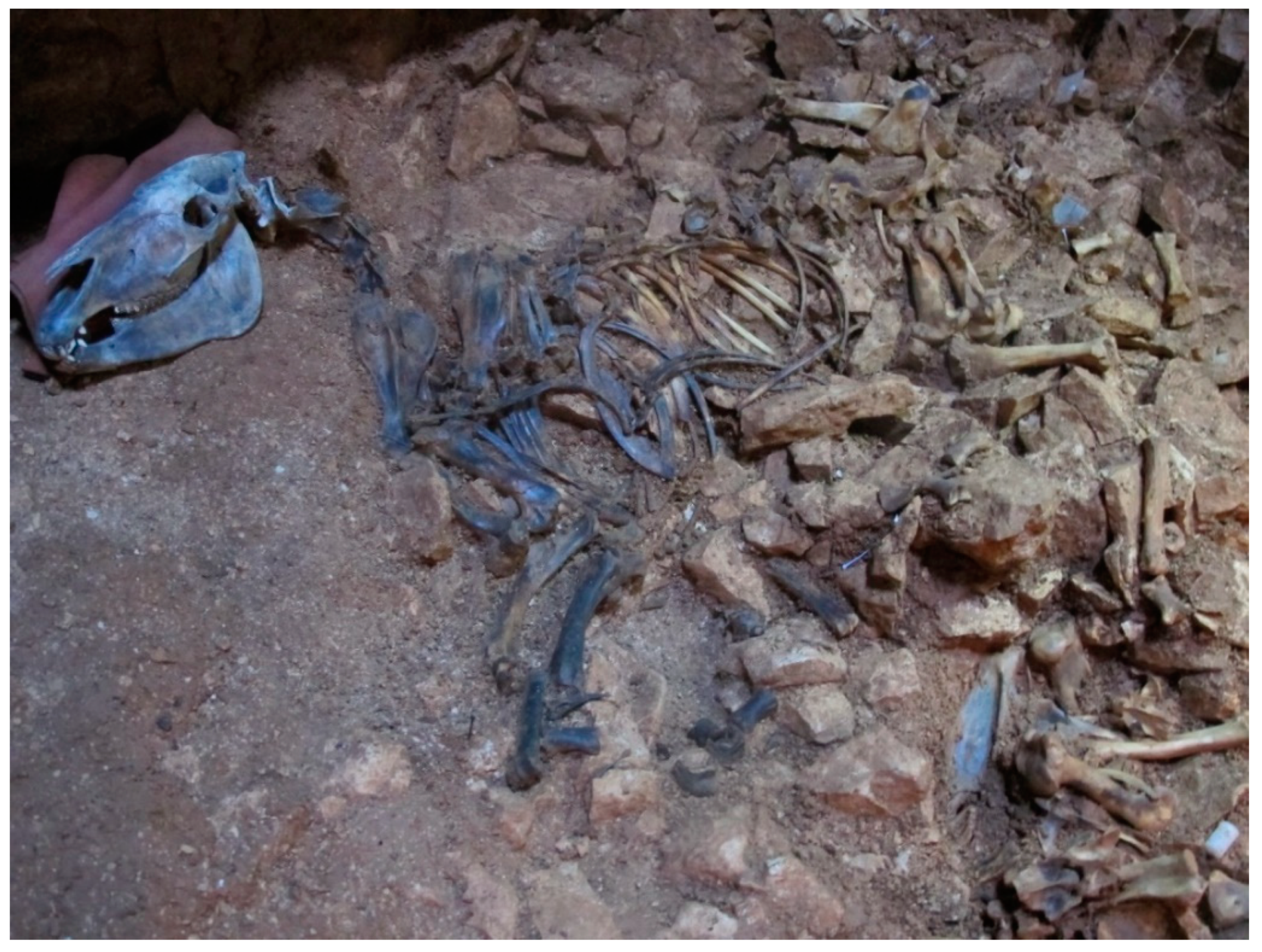 Quaternary 01 00019 g019 550