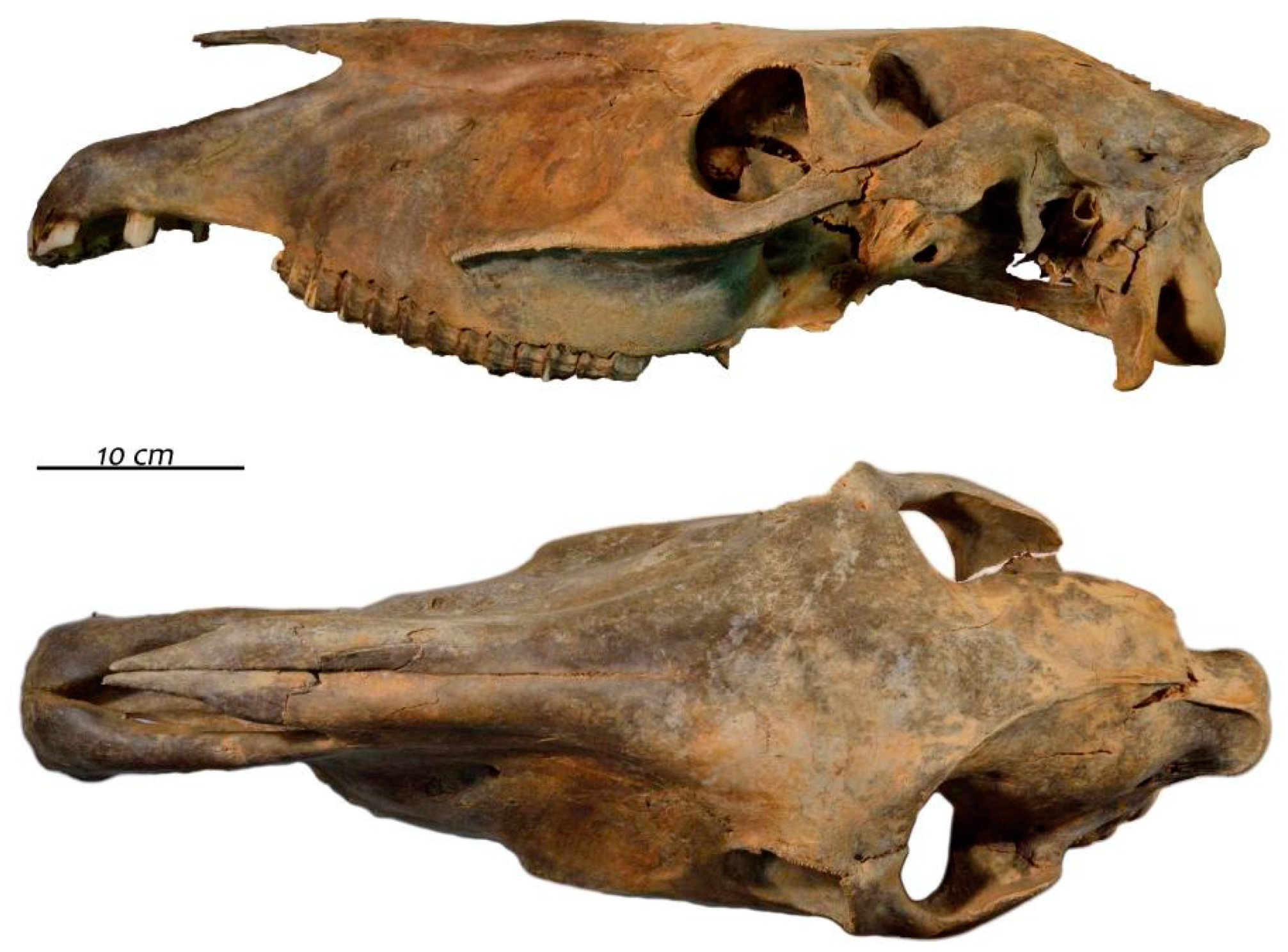 Quaternary 01 00019 g020 550