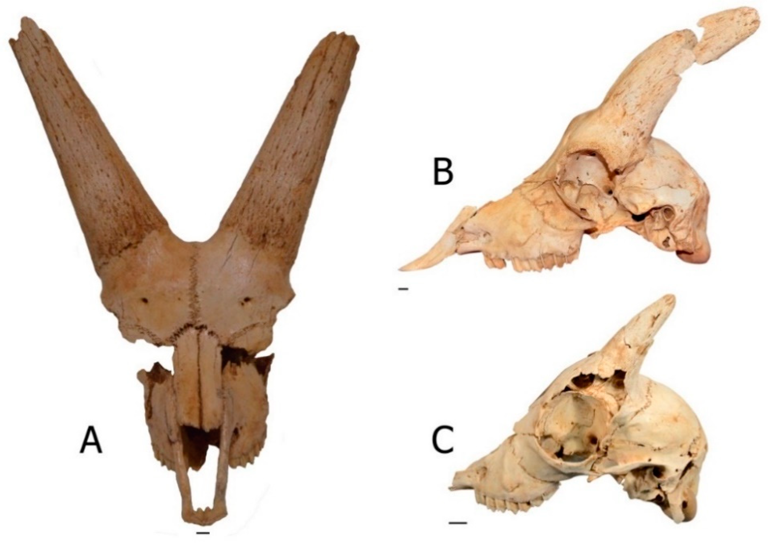 Quaternary 01 00019 g025 550