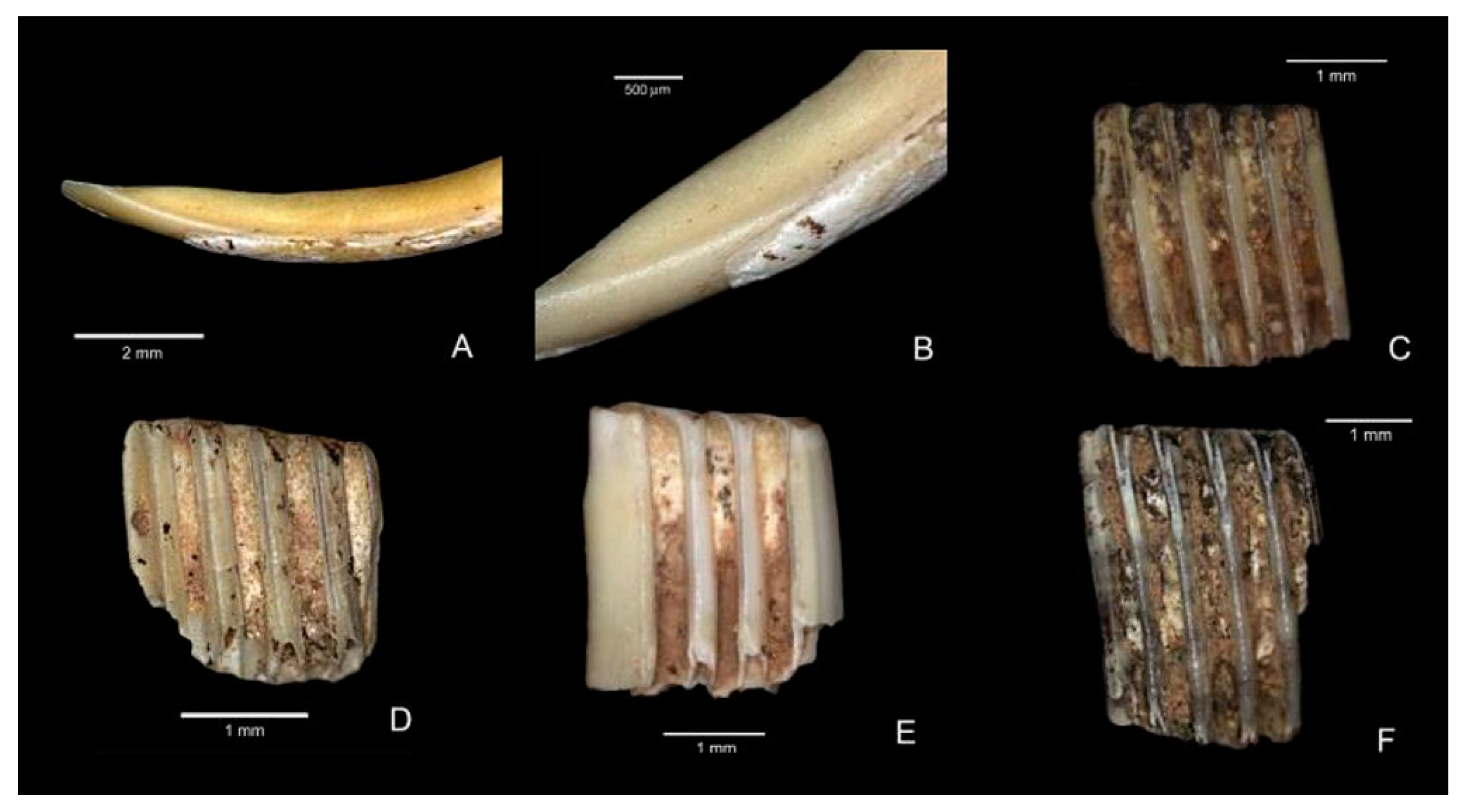 Quaternary 01 00019 g028 550