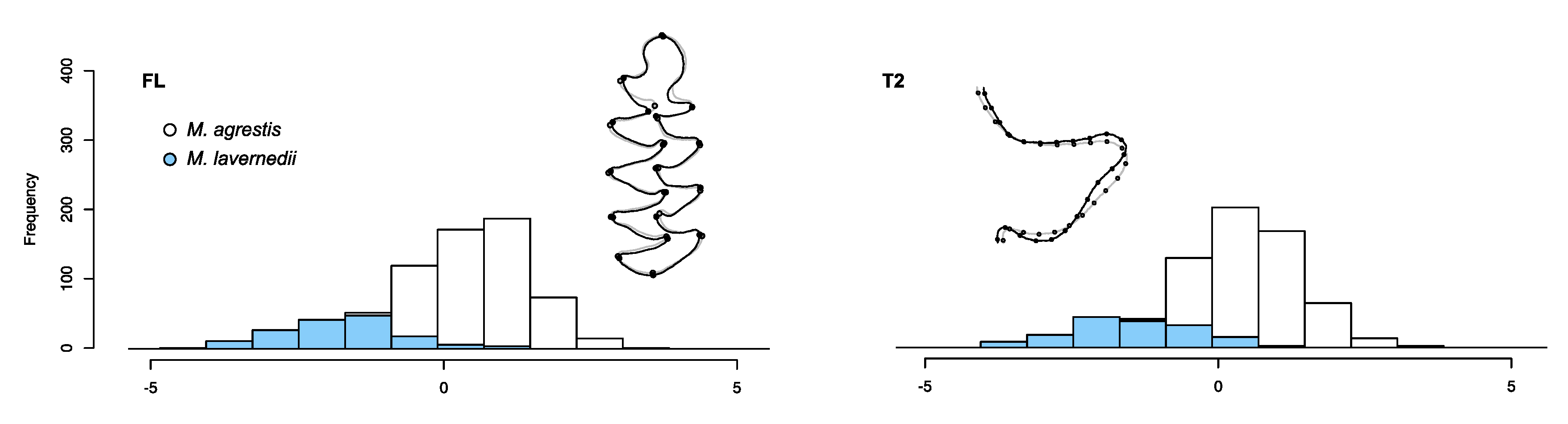 Quaternary 01 00020 g007