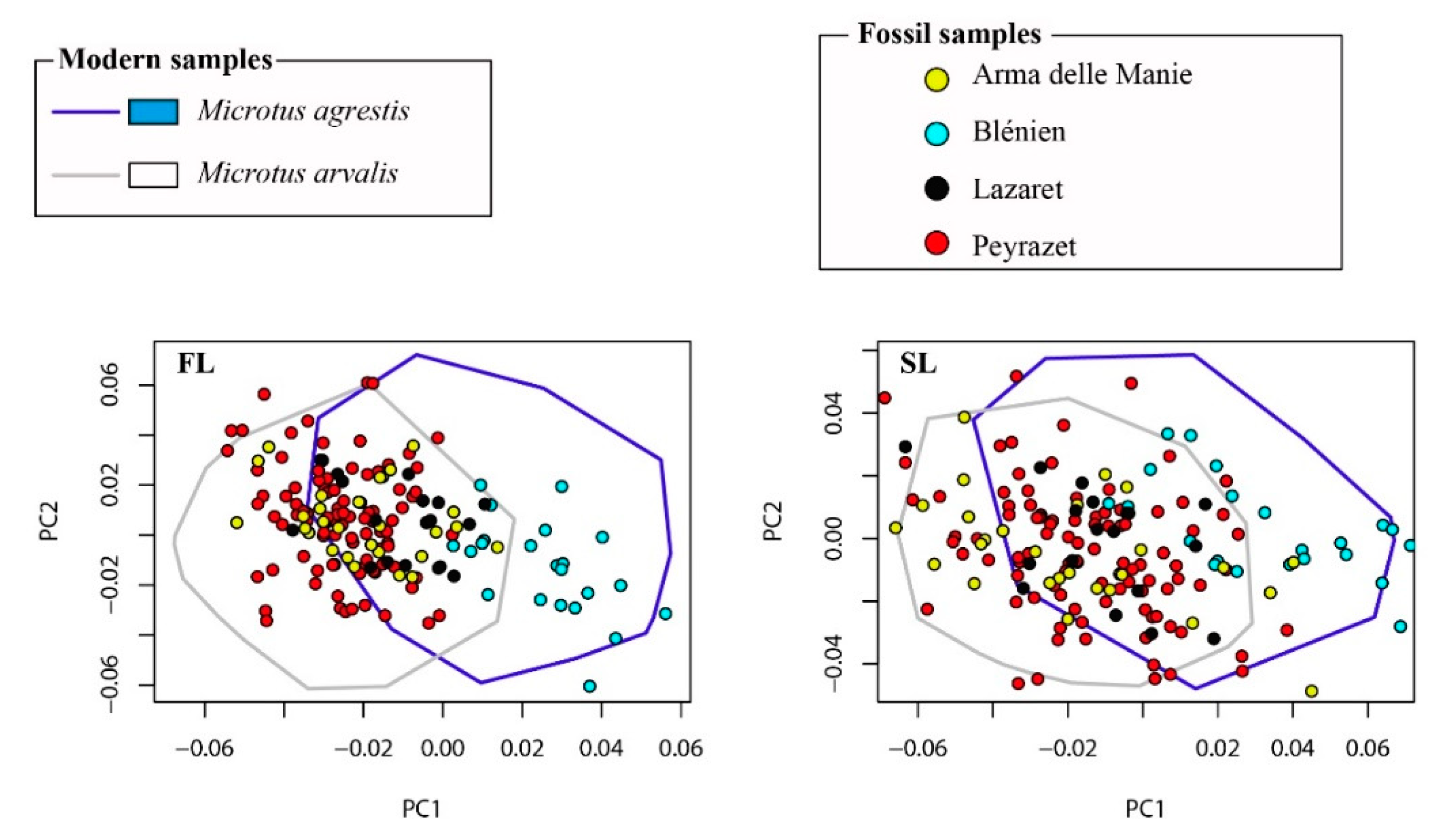 Quaternary 01 00020 g008a
