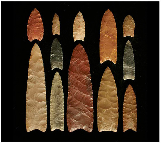 Quaternary Free Full-Text Setting the Stage The Late Pleistocene Colonization of North America 550x492 Porn Photo Hd Quaternary Free Full-Text Setting the Stage The Late Pleistocene Colonization of North America