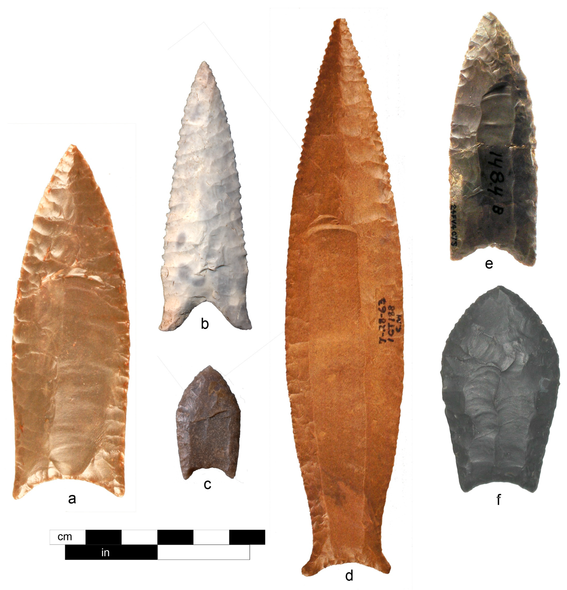 Quaternary 02 00001 g003 Quaternary 02 00001 g003