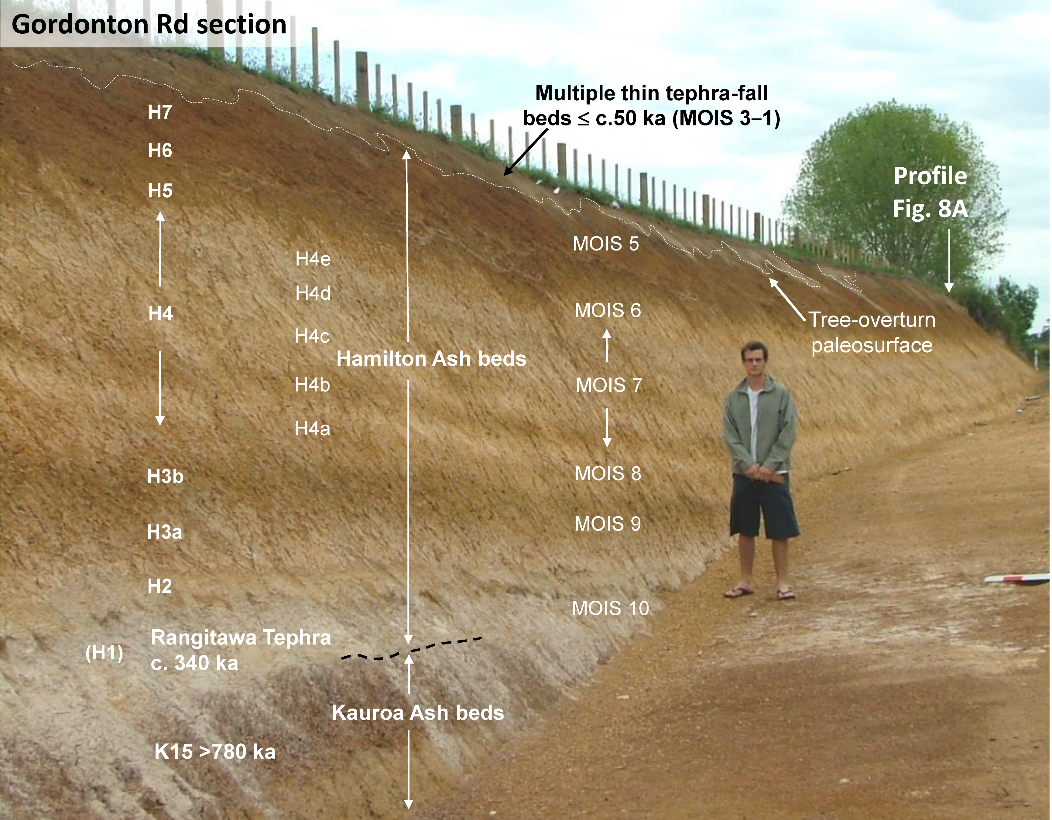Quaternary Free Full Text Using Soil Stratigraphy And Tephrochronology To Understand The Origin Age And Classification Of A Unique Late Quaternary Tephra Derived Ultisol In Aotearoa New Zealand Html