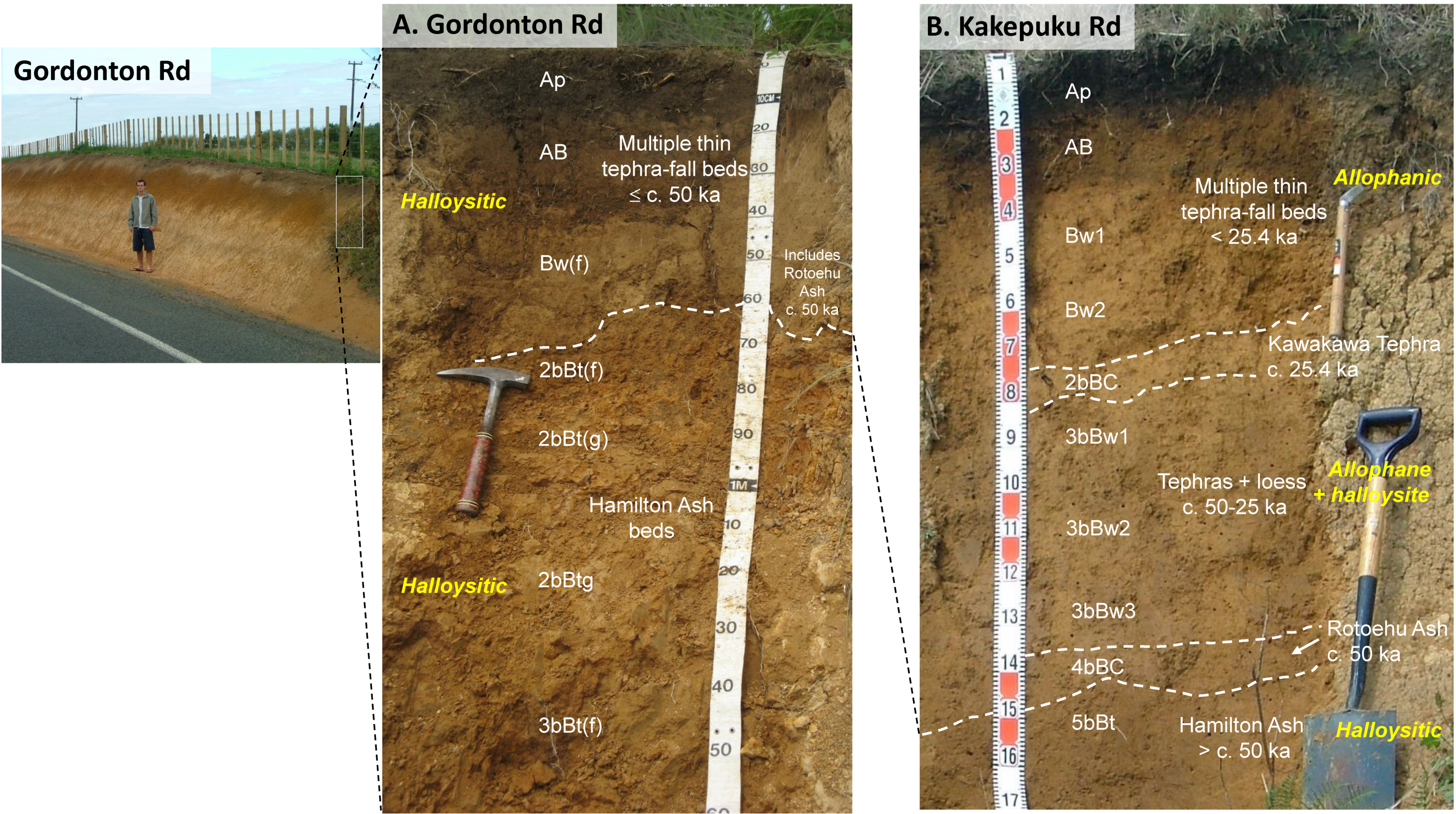 Quaternary 02 00009 g008 550