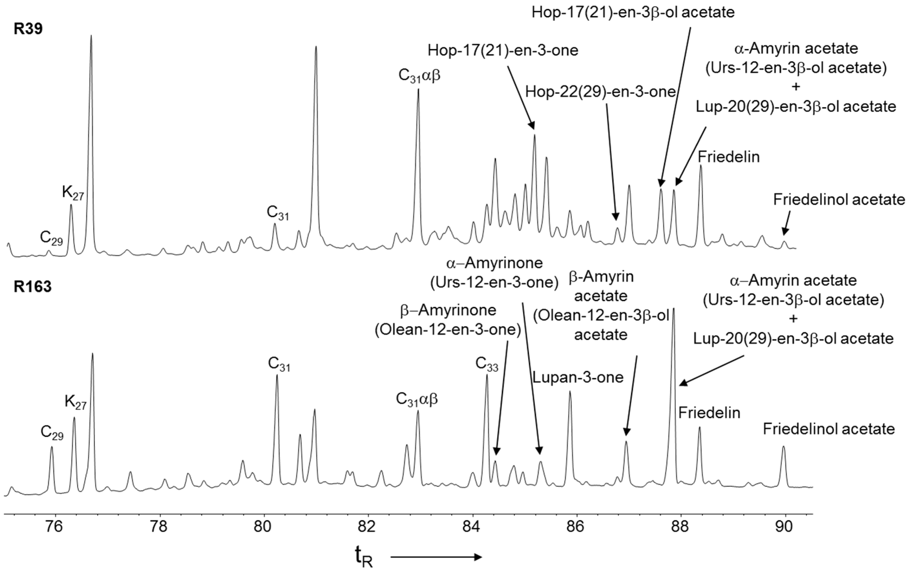 Quaternary 02 00030 g003
