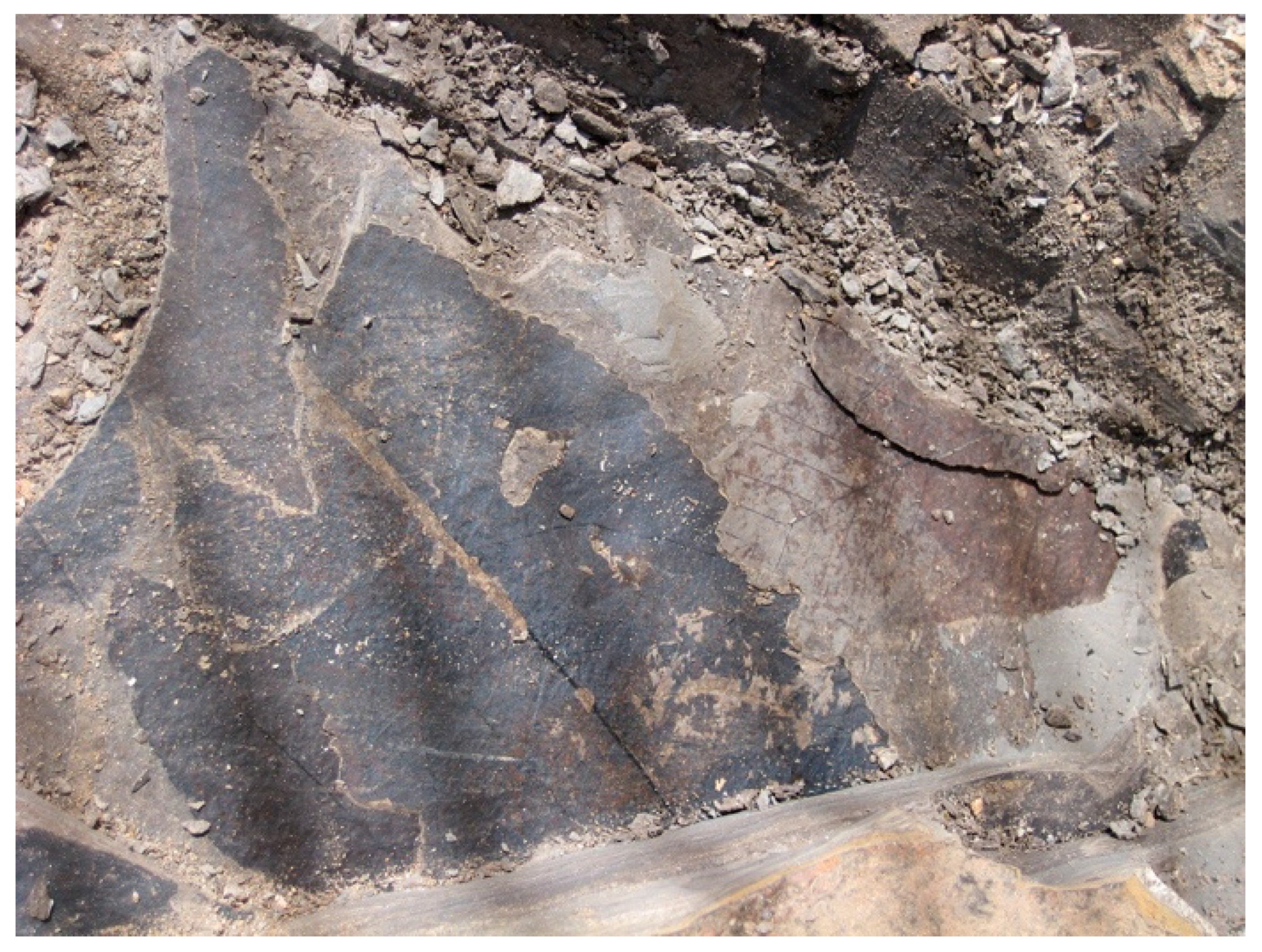 Quaternary 02 00037 g001