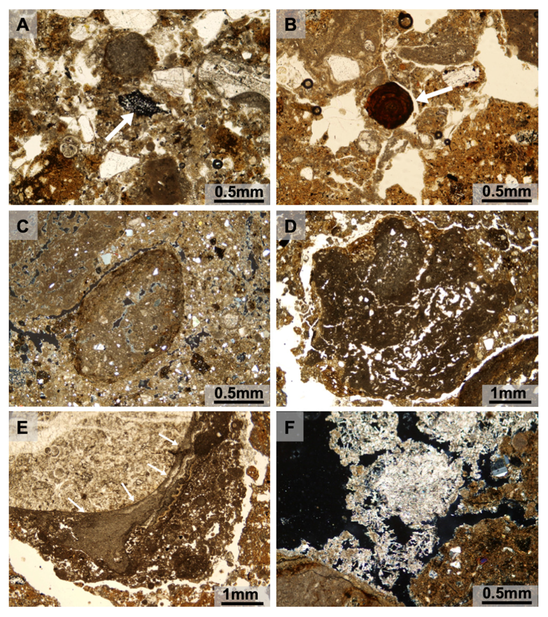 Quaternary 03 00014 g006 Quaternary 03 00014 g006