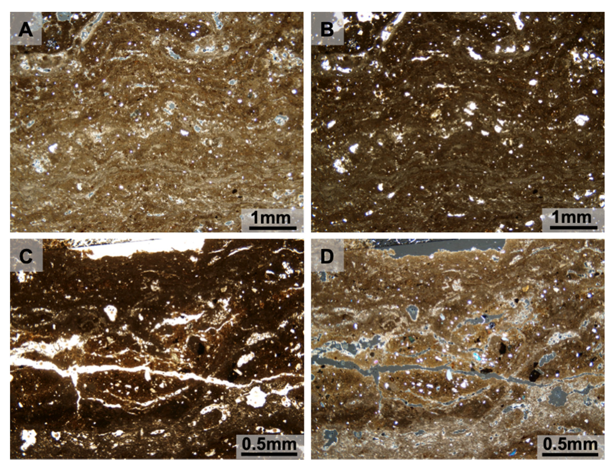 Quaternary 03 00014 g007 Quaternary 03 00014 g007