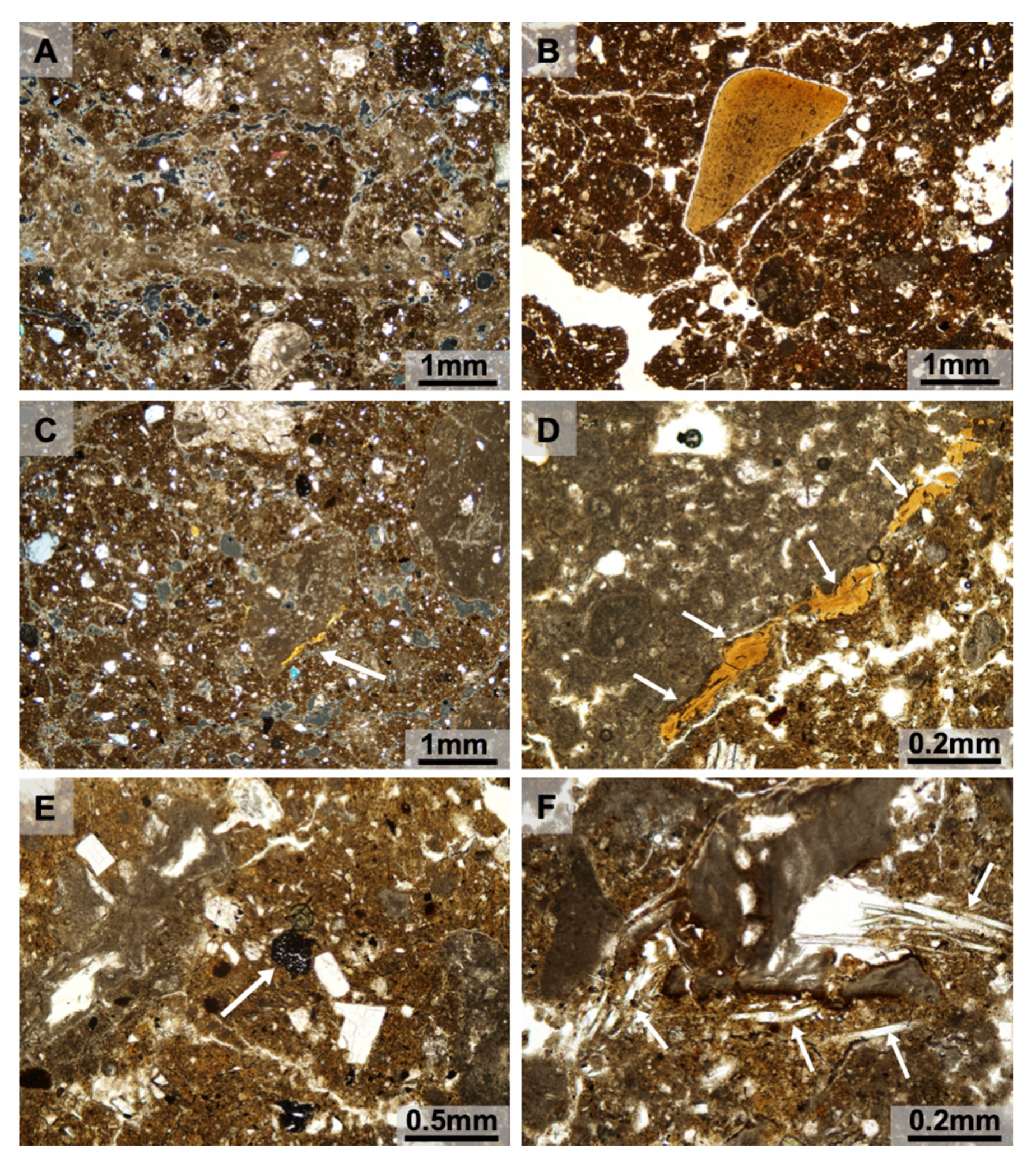 Quaternary 03 00014 g008 Quaternary 03 00014 g008