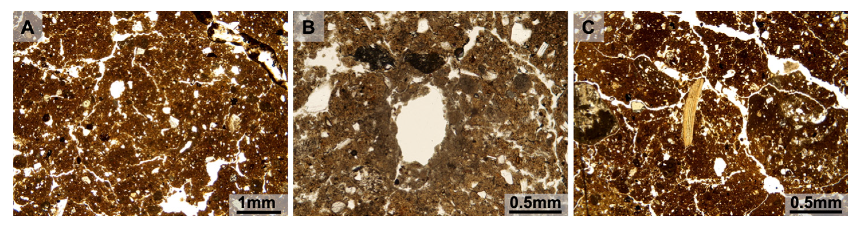 Quaternary 03 00014 g009 Quaternary 03 00014 g009