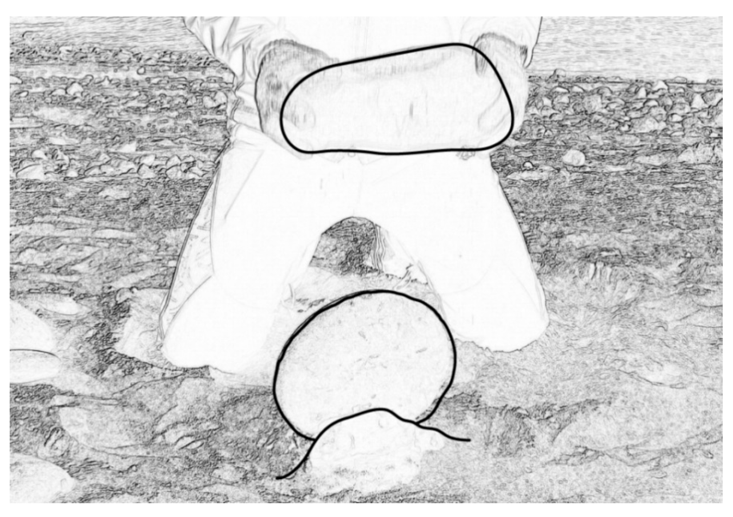 Quaternary 03 00028 g009