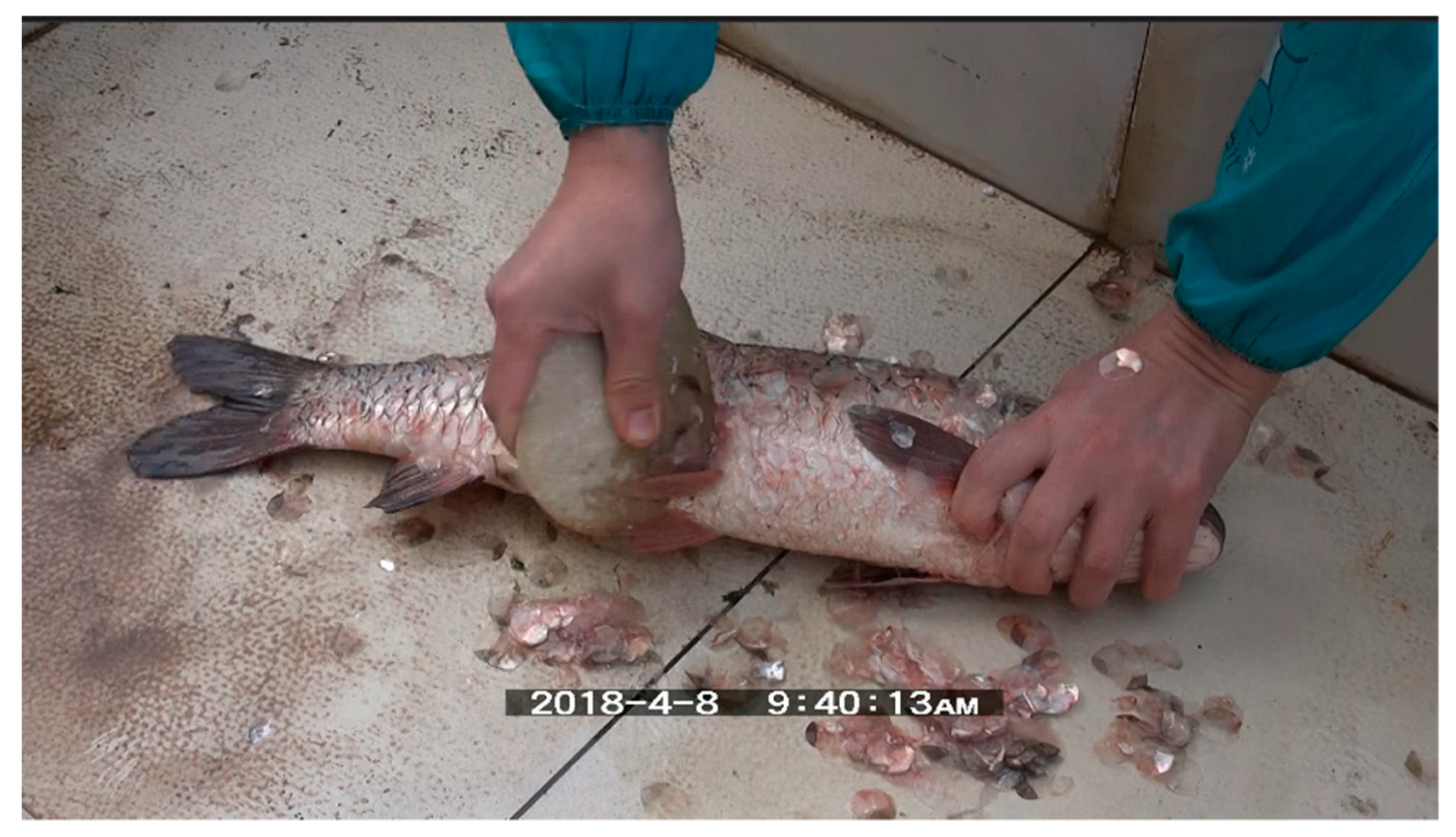 Quaternary 03 00028 g010