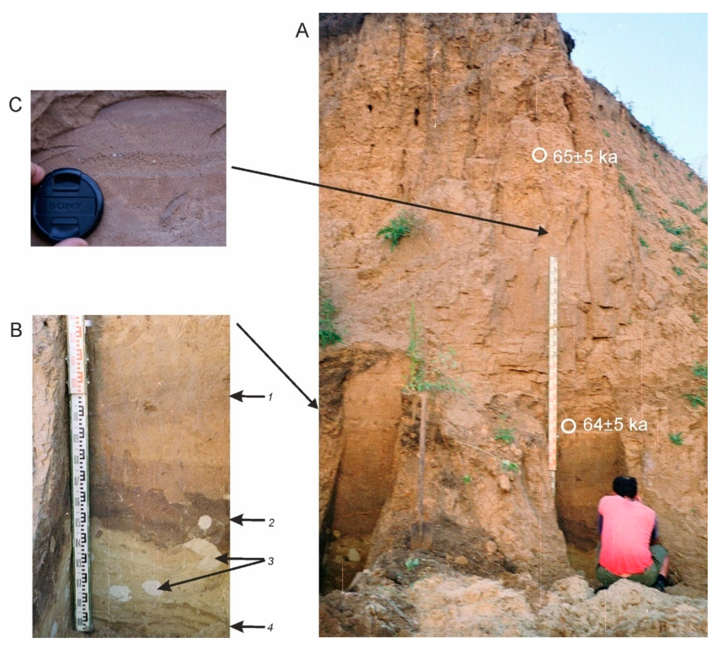 Quaternary 03 00031 g011 Quaternary 03 00031 g011