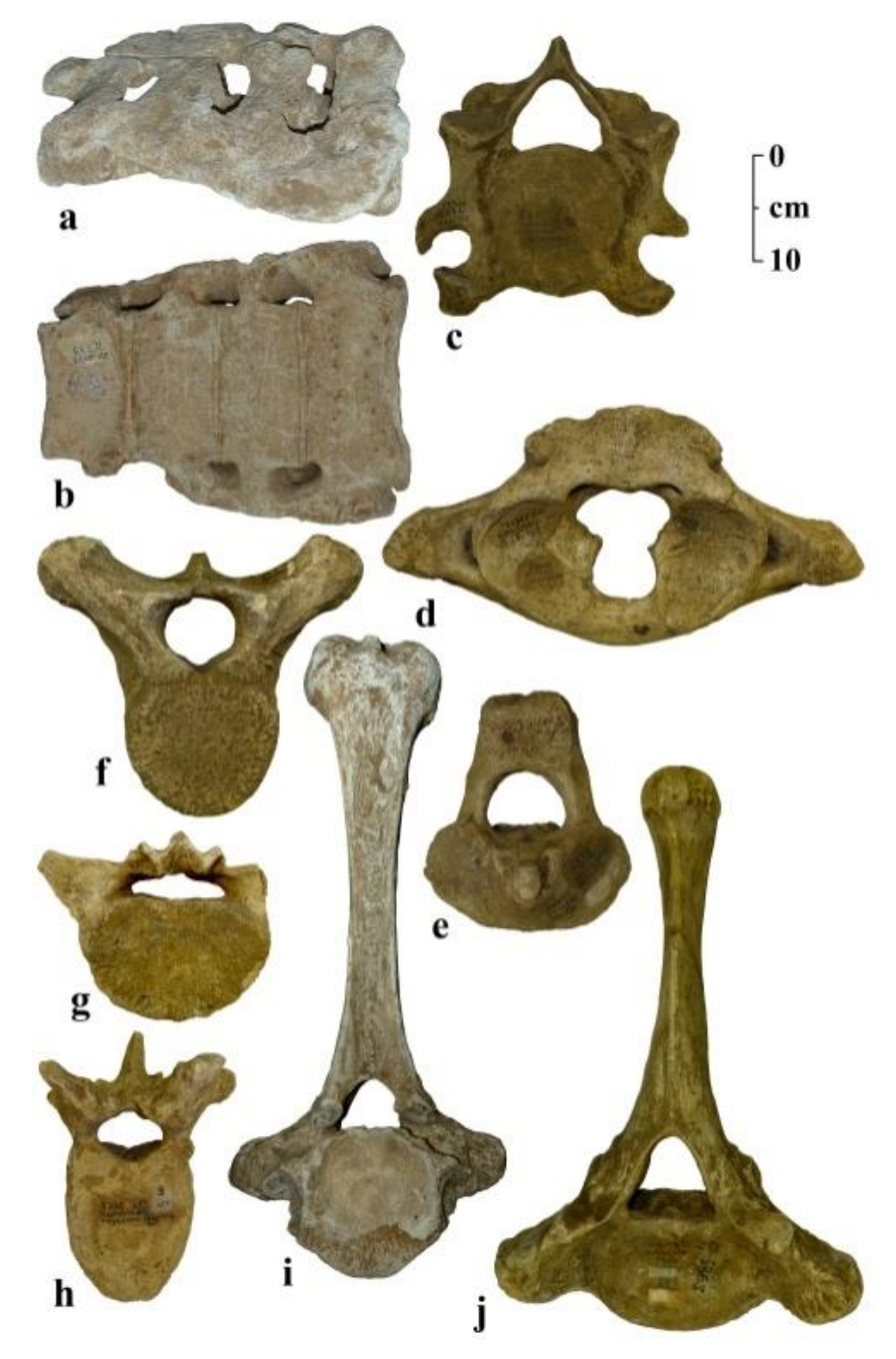Quaternary 04 00005 g003 Quaternary 04 00005 g003