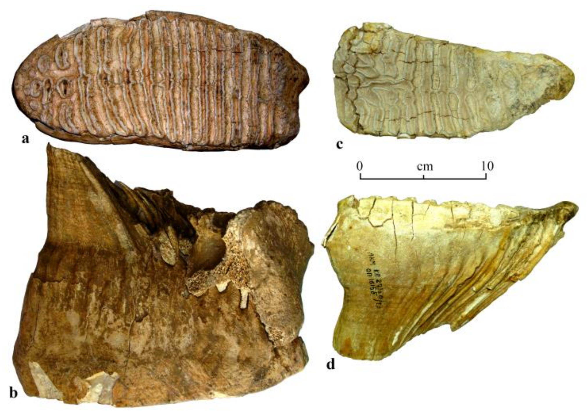 Quaternary 04 00005 g006 Quaternary 04 00005 g006