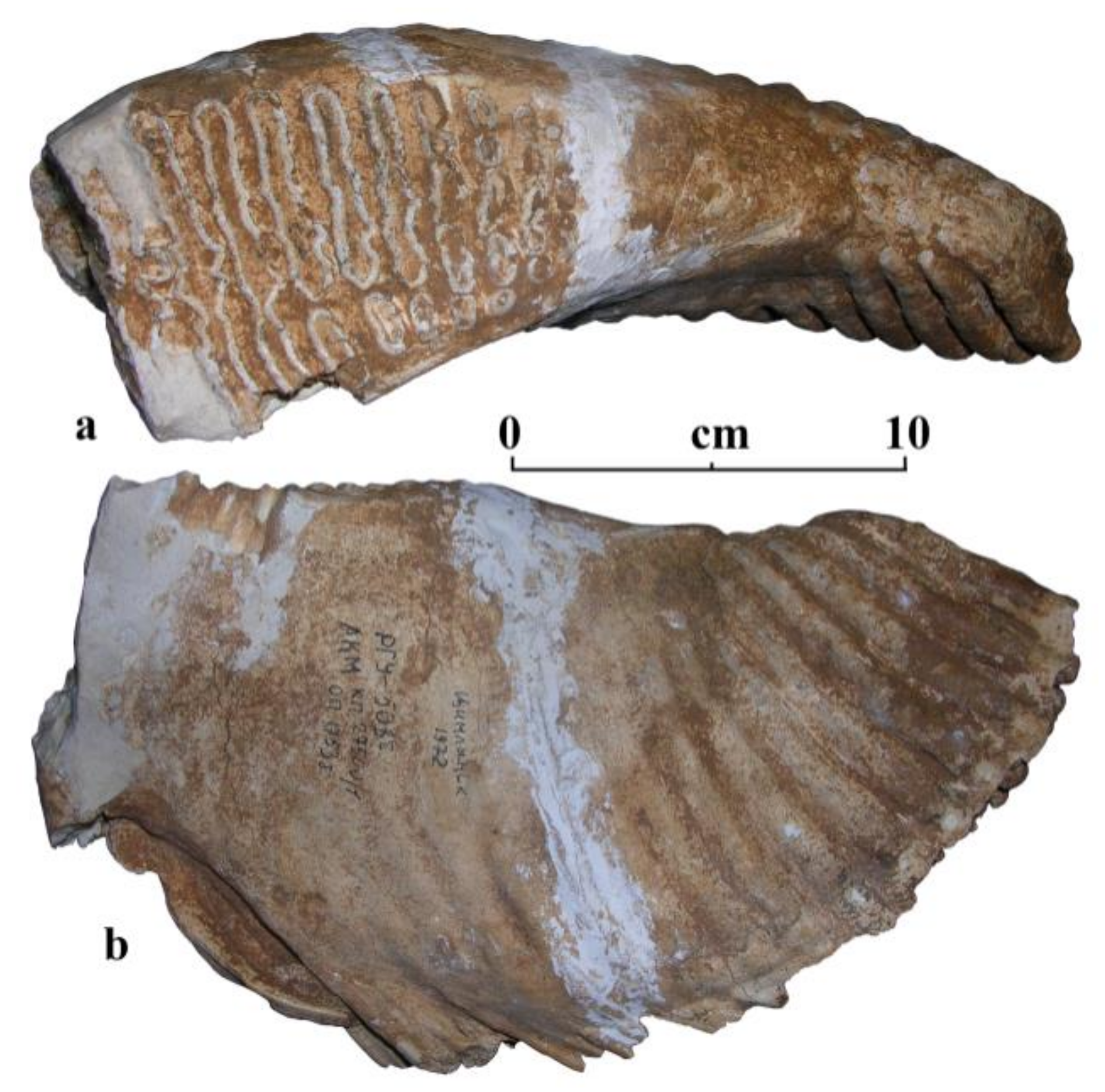 Quaternary 04 00005 g007 Quaternary 04 00005 g007
