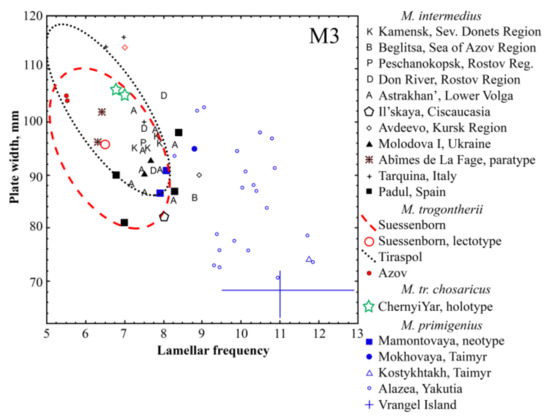 Quaternary Free Full Text Late Middle Early Late Pleistocene Mammoths From The Lower Don River Region Russia Html