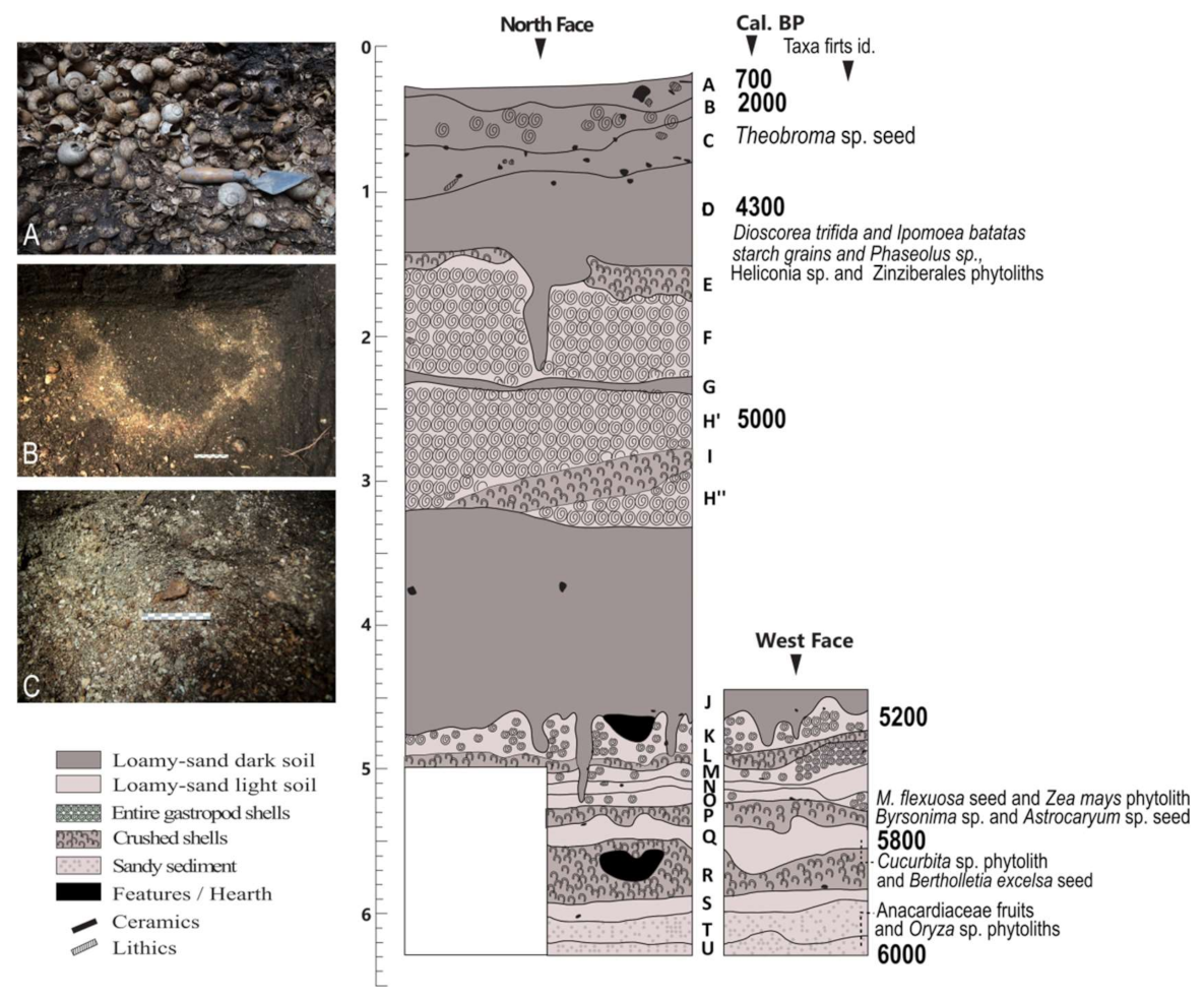 Quaternary 04 00008 g002 Quaternary 04 00008 g002
