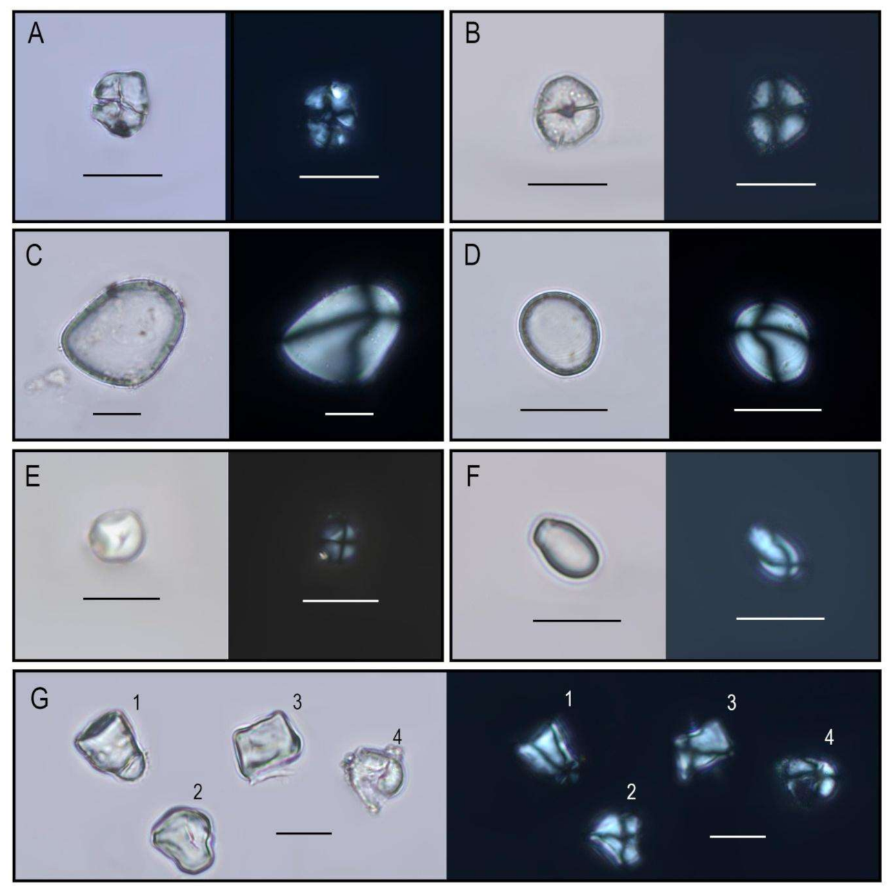 Quaternary 04 00008 g007 Quaternary 04 00008 g007