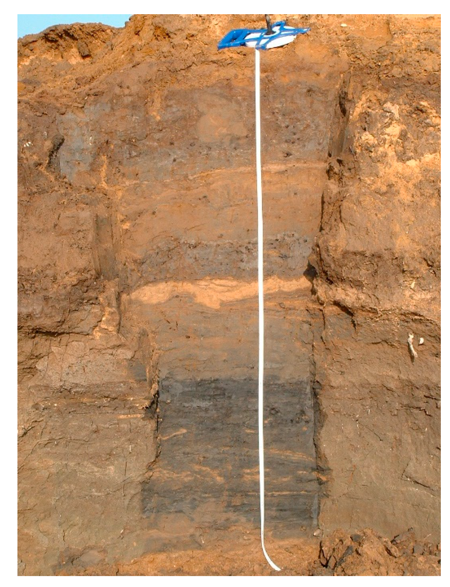 Quaternary 04 00009 g010