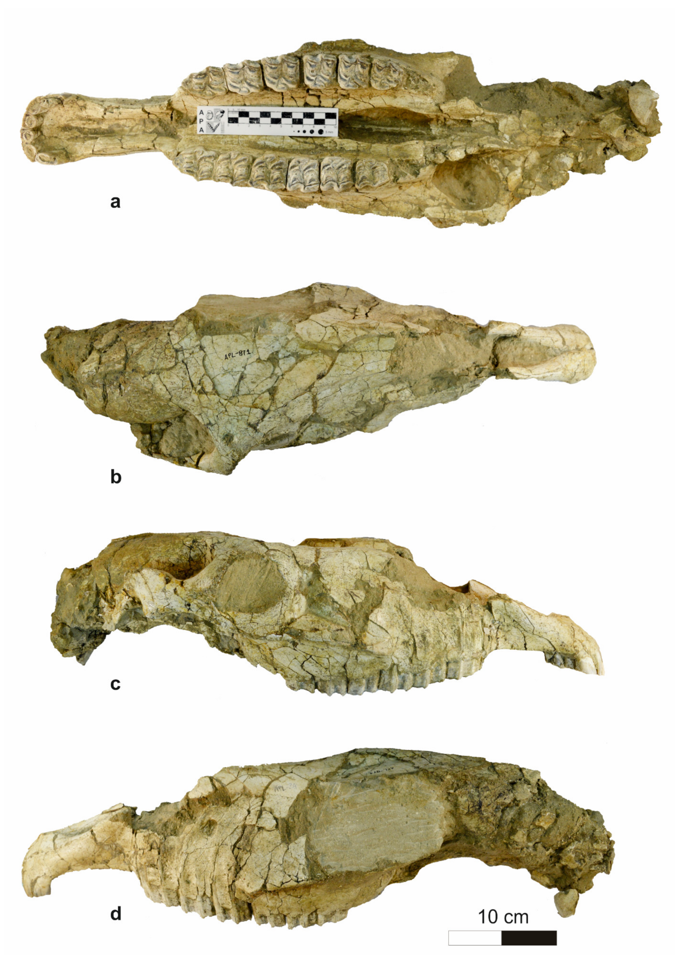 Quaternary 04 00012 g003 Quaternary 04 00012 g003