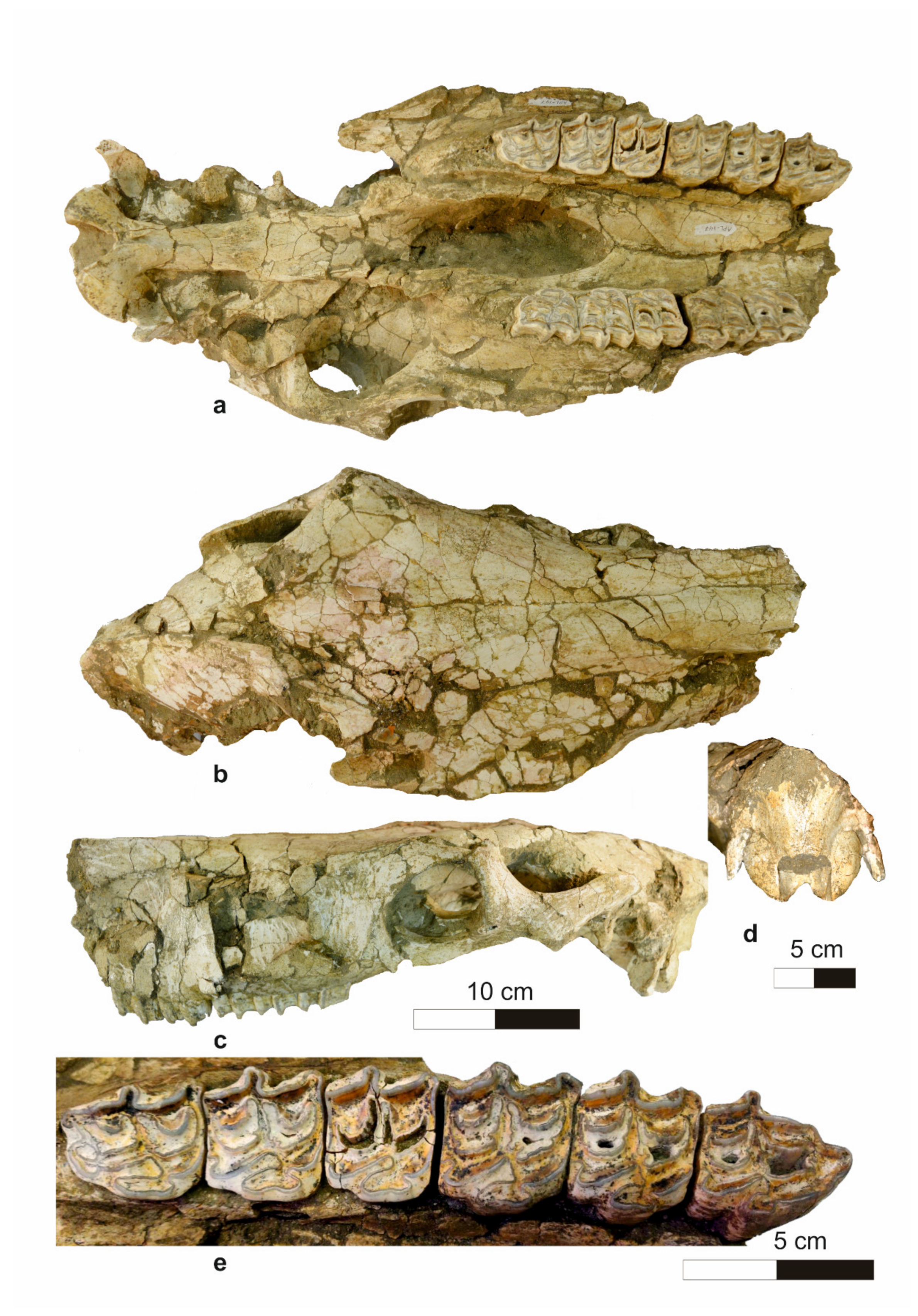 Quaternary 04 00012 g005 Quaternary 04 00012 g005