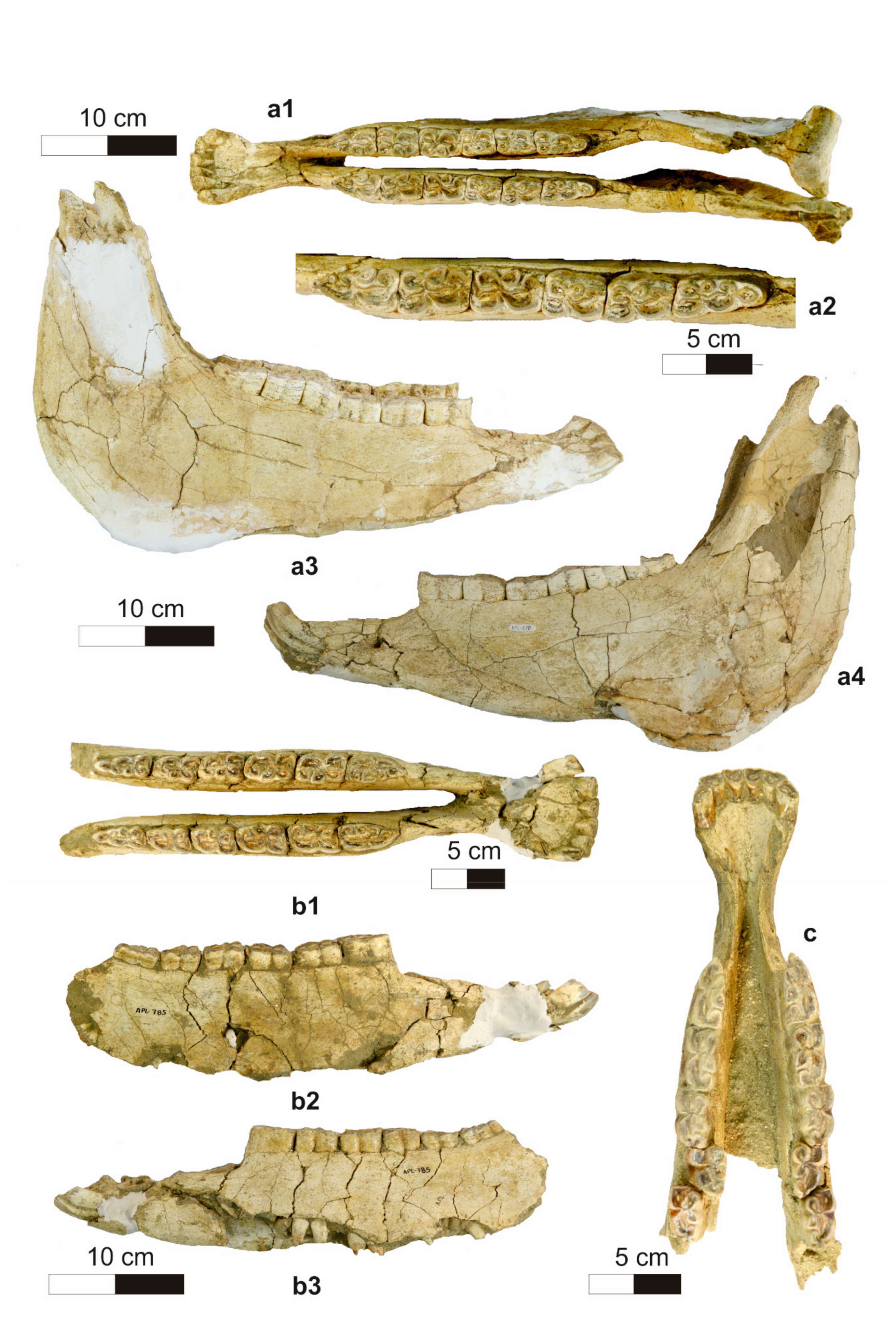 Quaternary 04 00012 g006 Quaternary 04 00012 g006