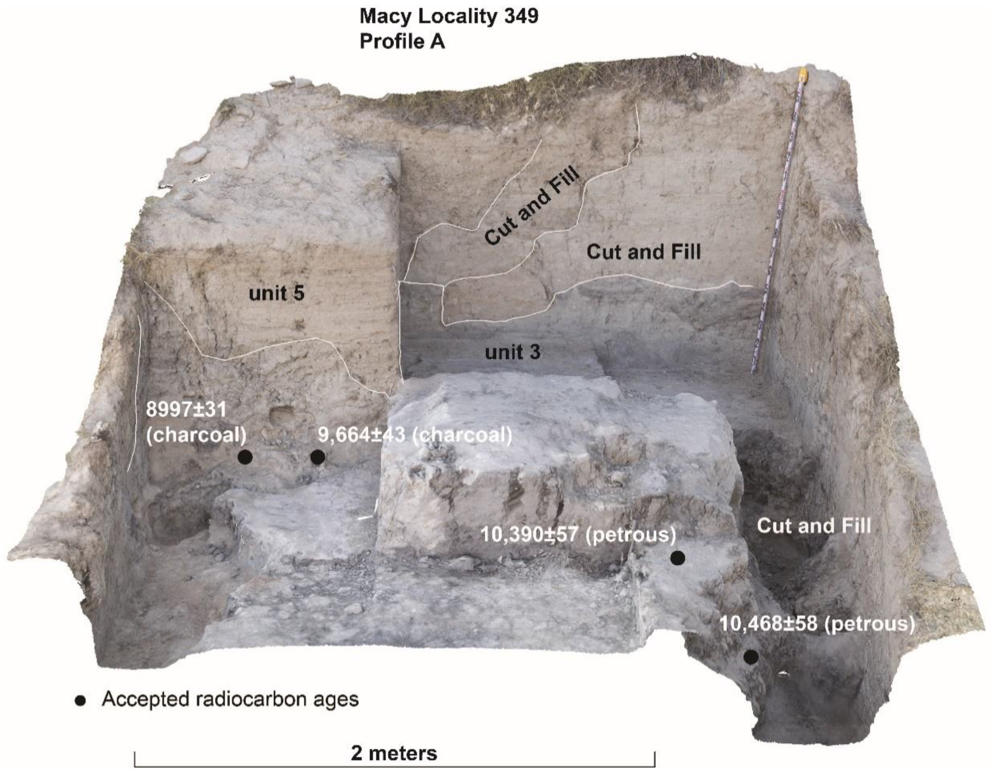 Quaternary 04 00019 g008
