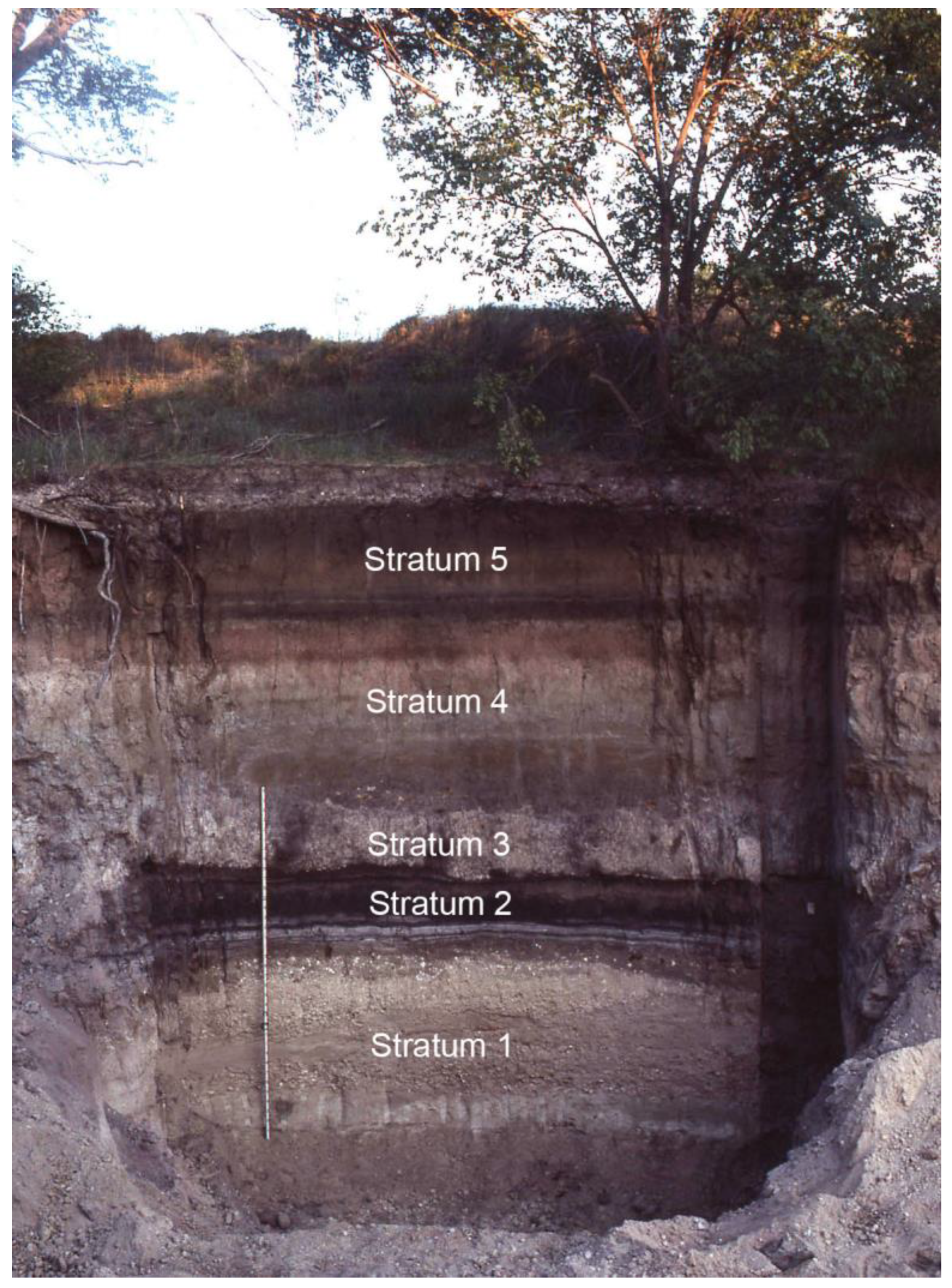 Quaternary 04 00019 g013