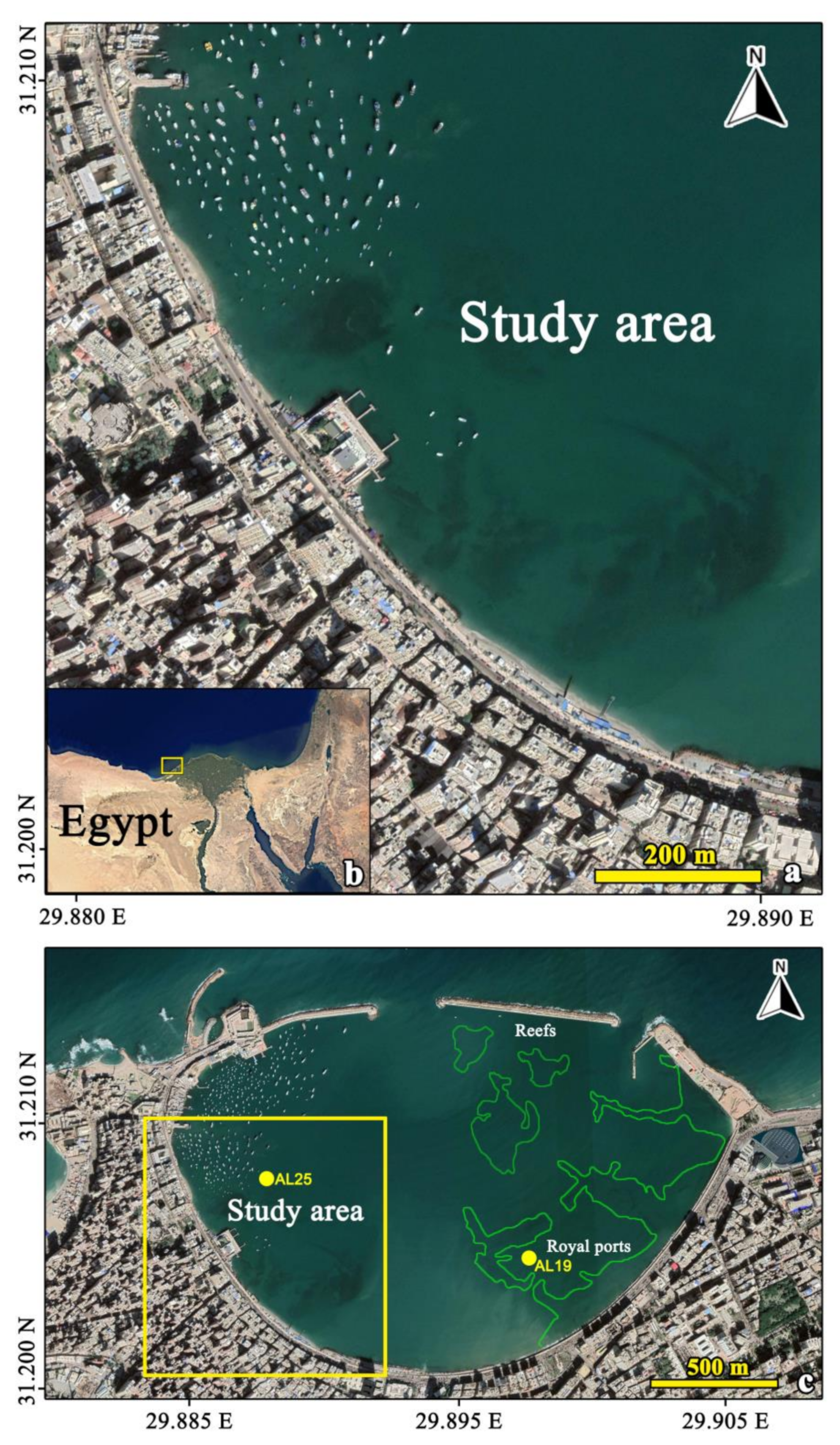 Lighthouse of Alexandria  Purpose & Facts - Video & Lesson