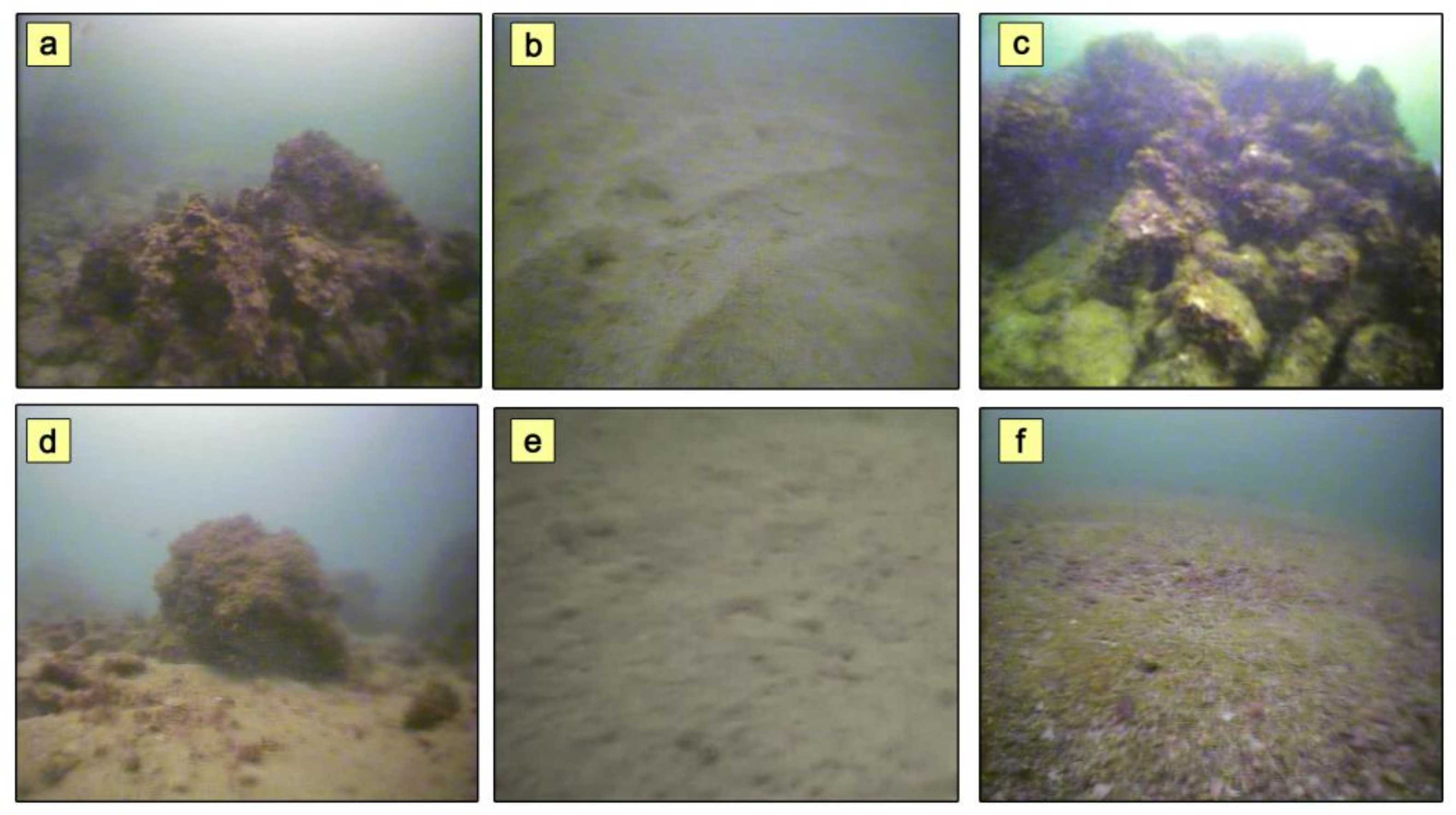 Quaternary 04 00022 g006 Quaternary 04 00022 g006