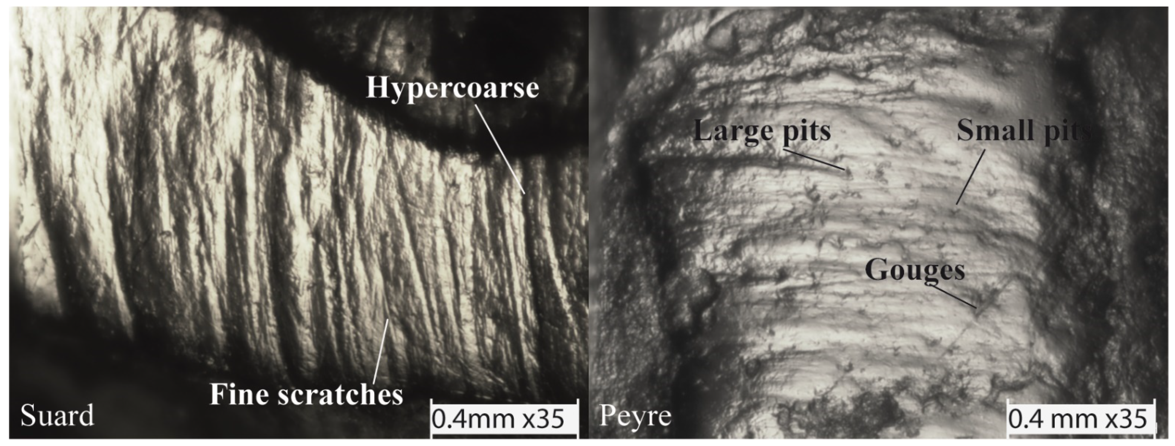 Quaternary 04 00023 g002 Quaternary 04 00023 g002