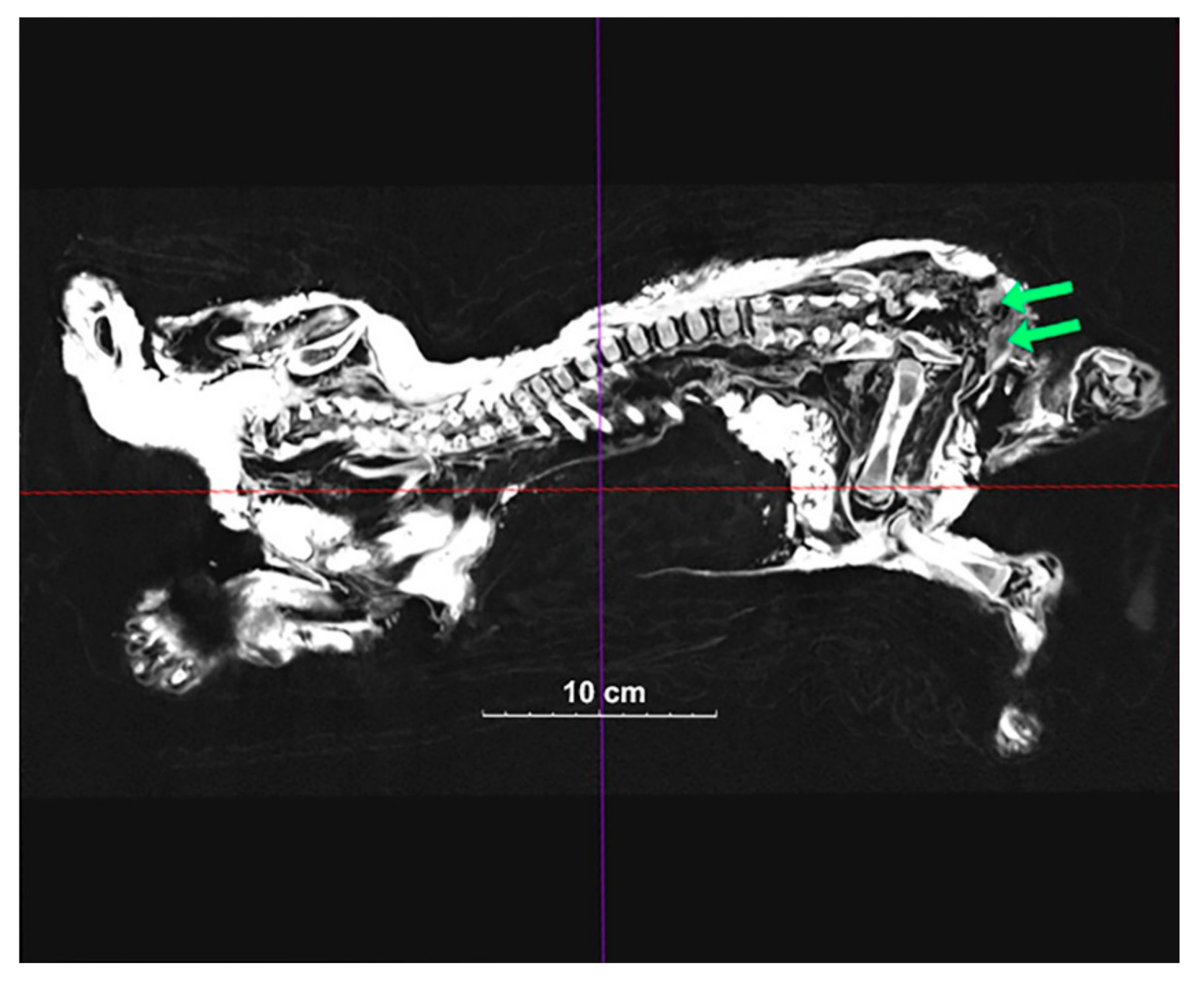 Quaternary 04 00024 g003