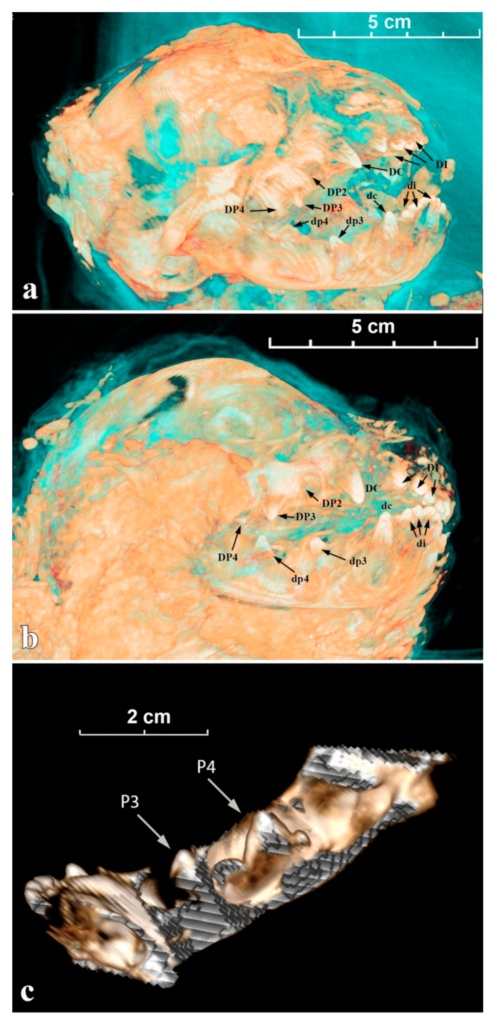 Quaternary 04 00024 g005 550