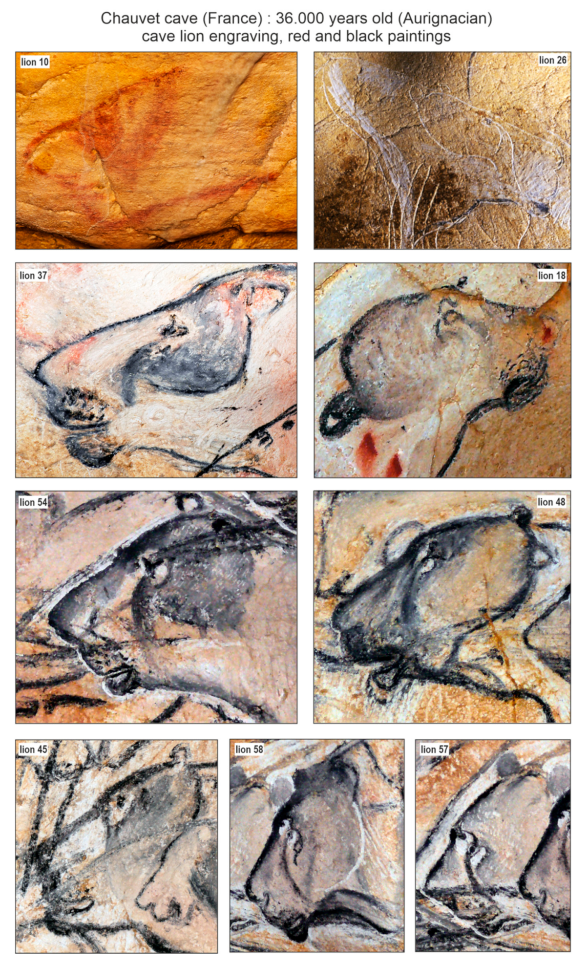 Quaternary 04 00024 g009 550