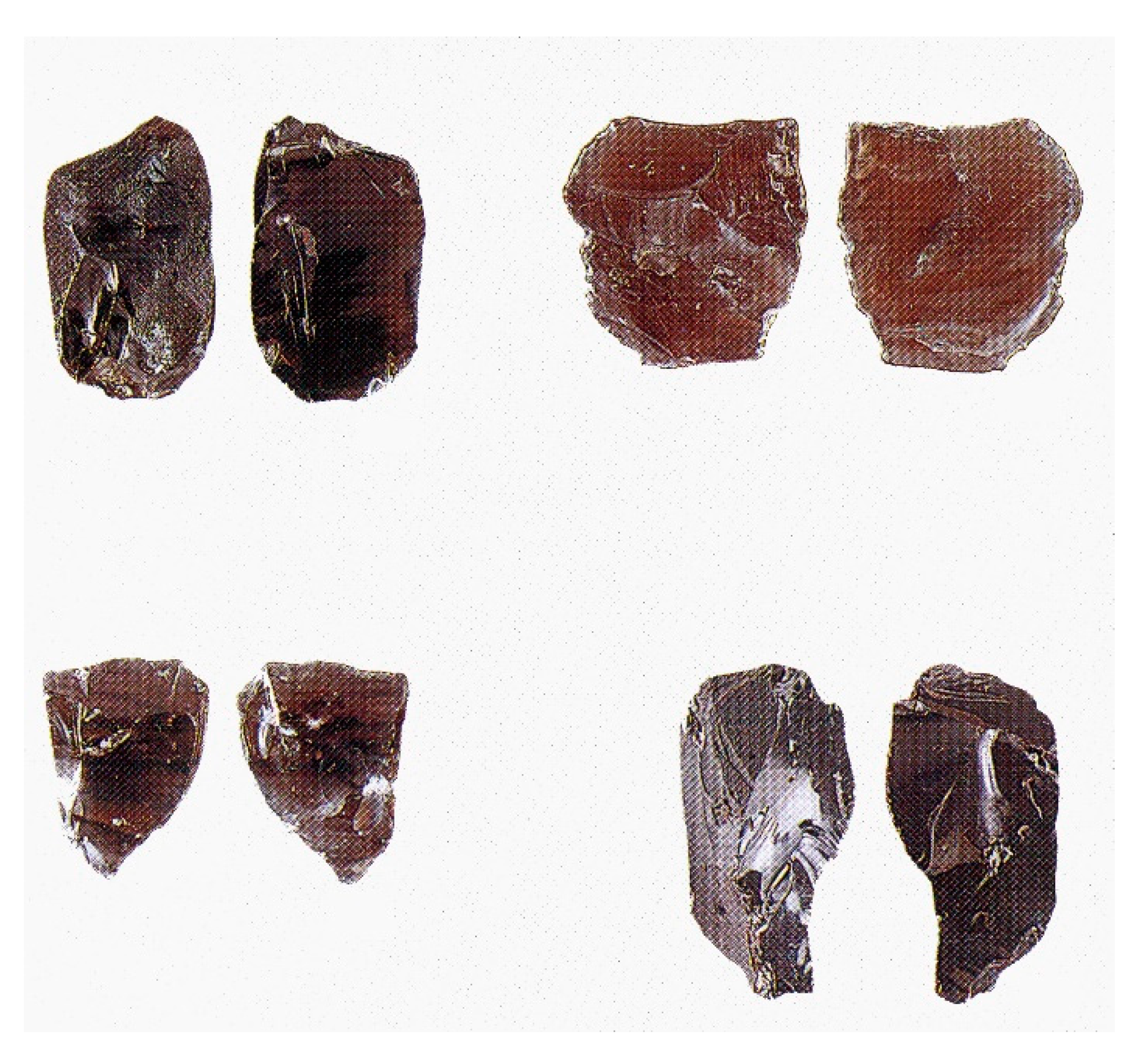 Quaternary 04 00028 g005